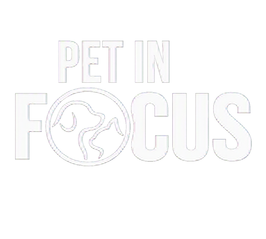 Pet in Focus