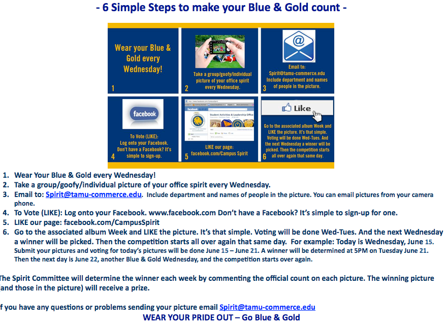 Screenshot of the program guidelines and rules.