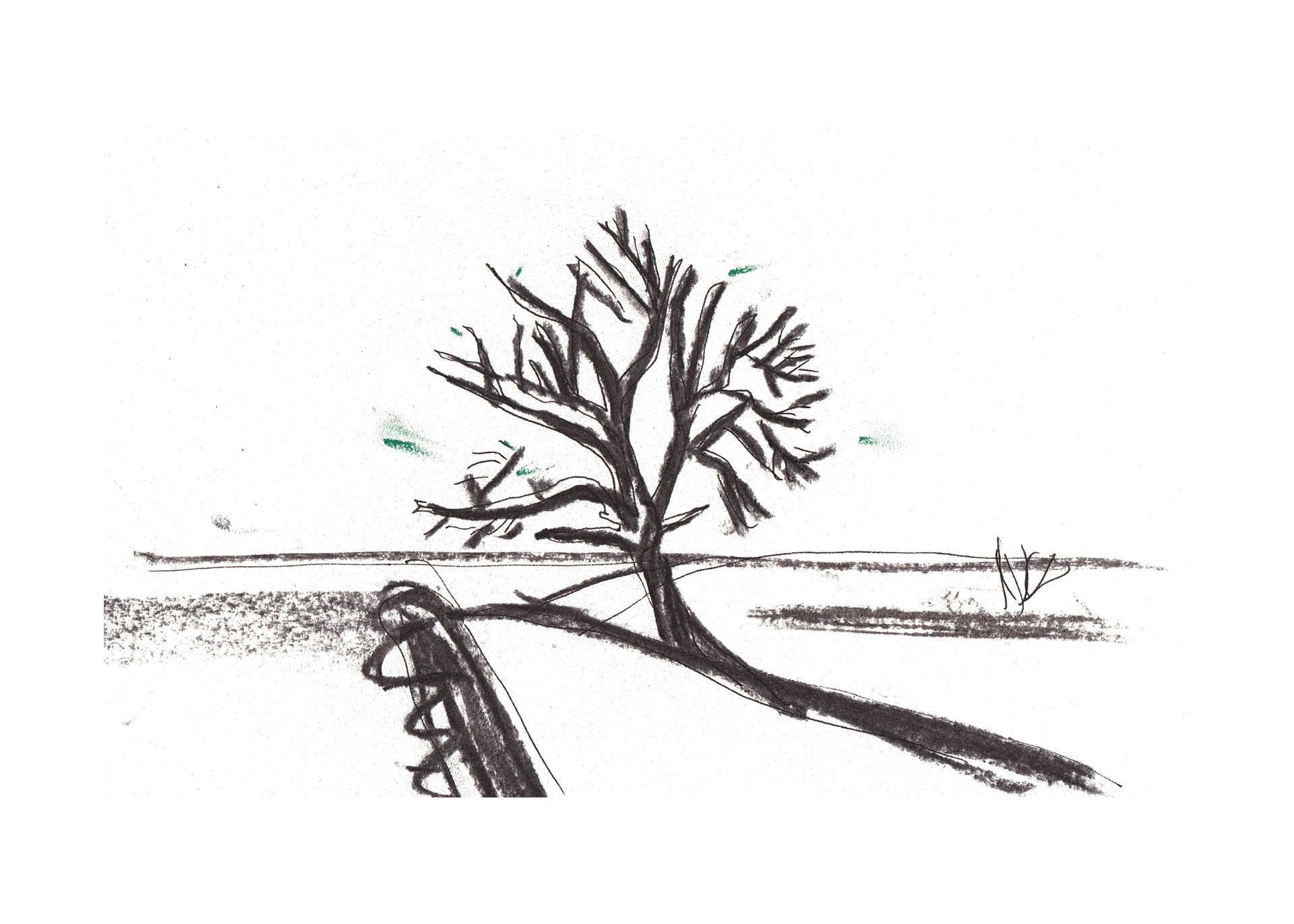 Tekening uit "Waarom het nooit bananen regent"