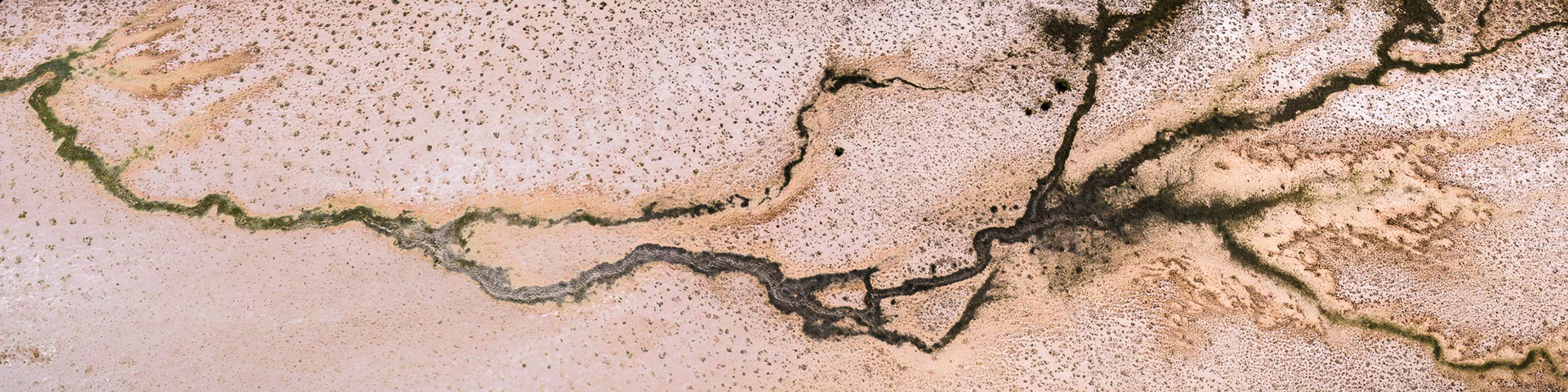 Rock Bottom Pond No. 2