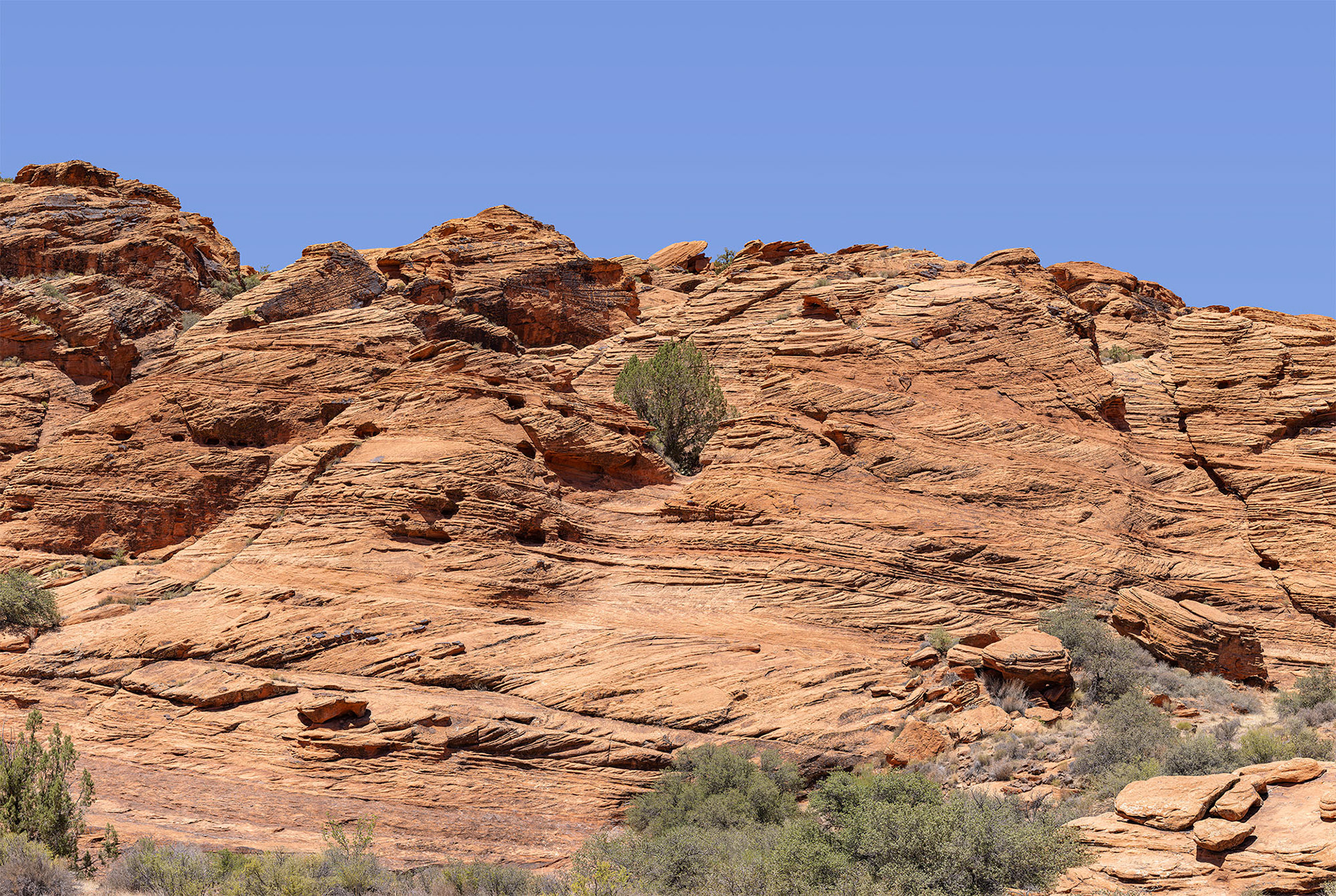Snow Canyon No. 13