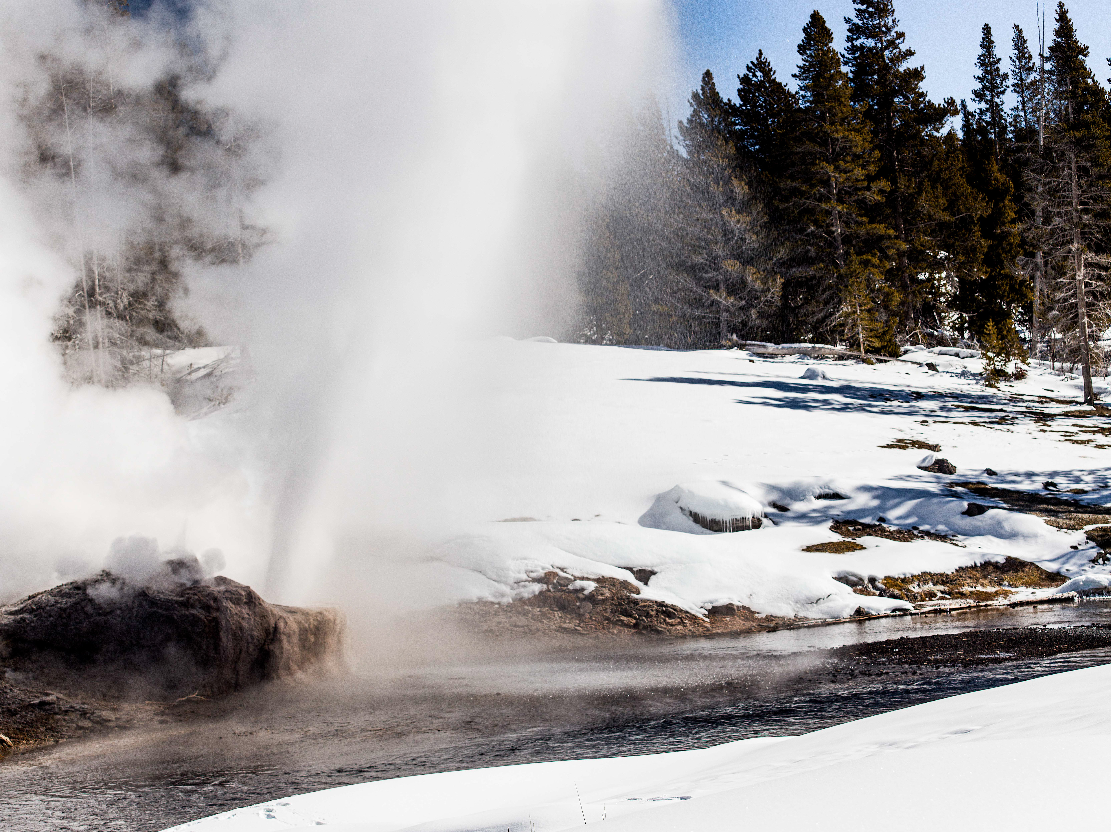 Riverside Geyser