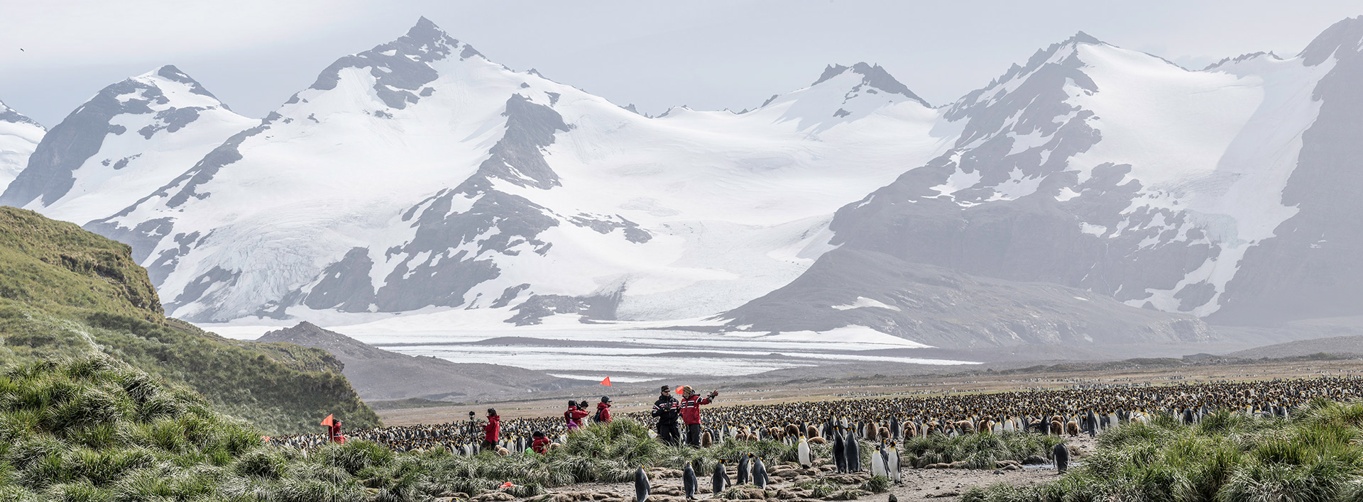 South Georgia Island Salisbuty Plain