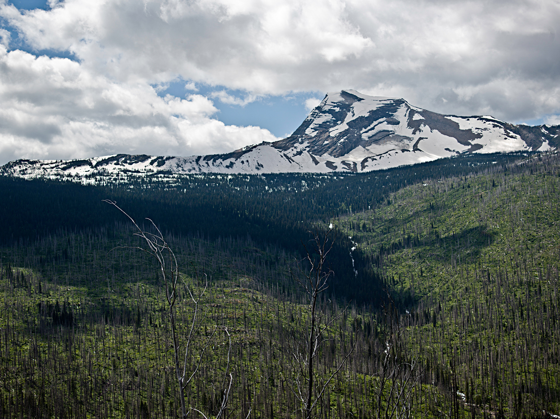 Heavens Peak