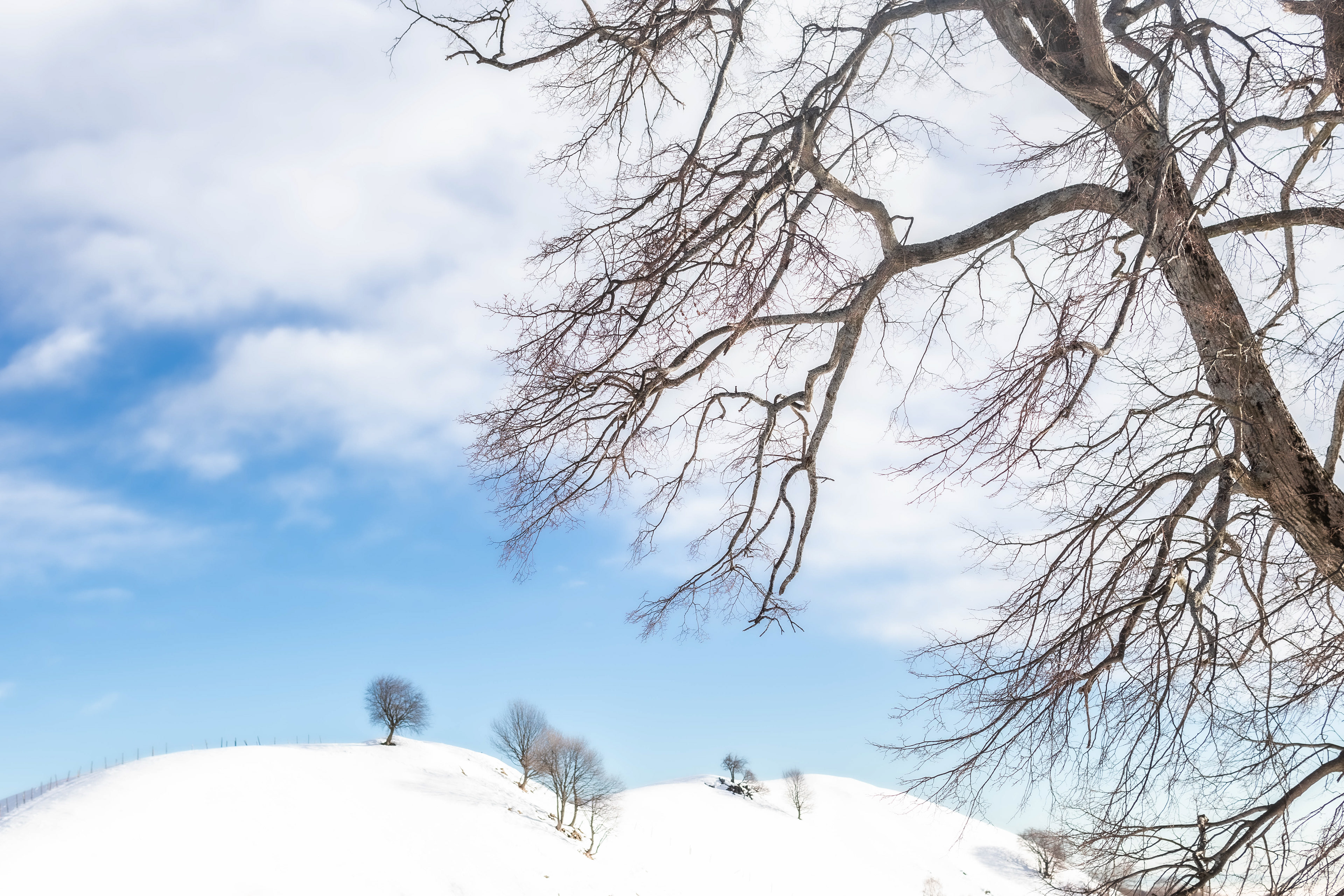 Monte Generoso