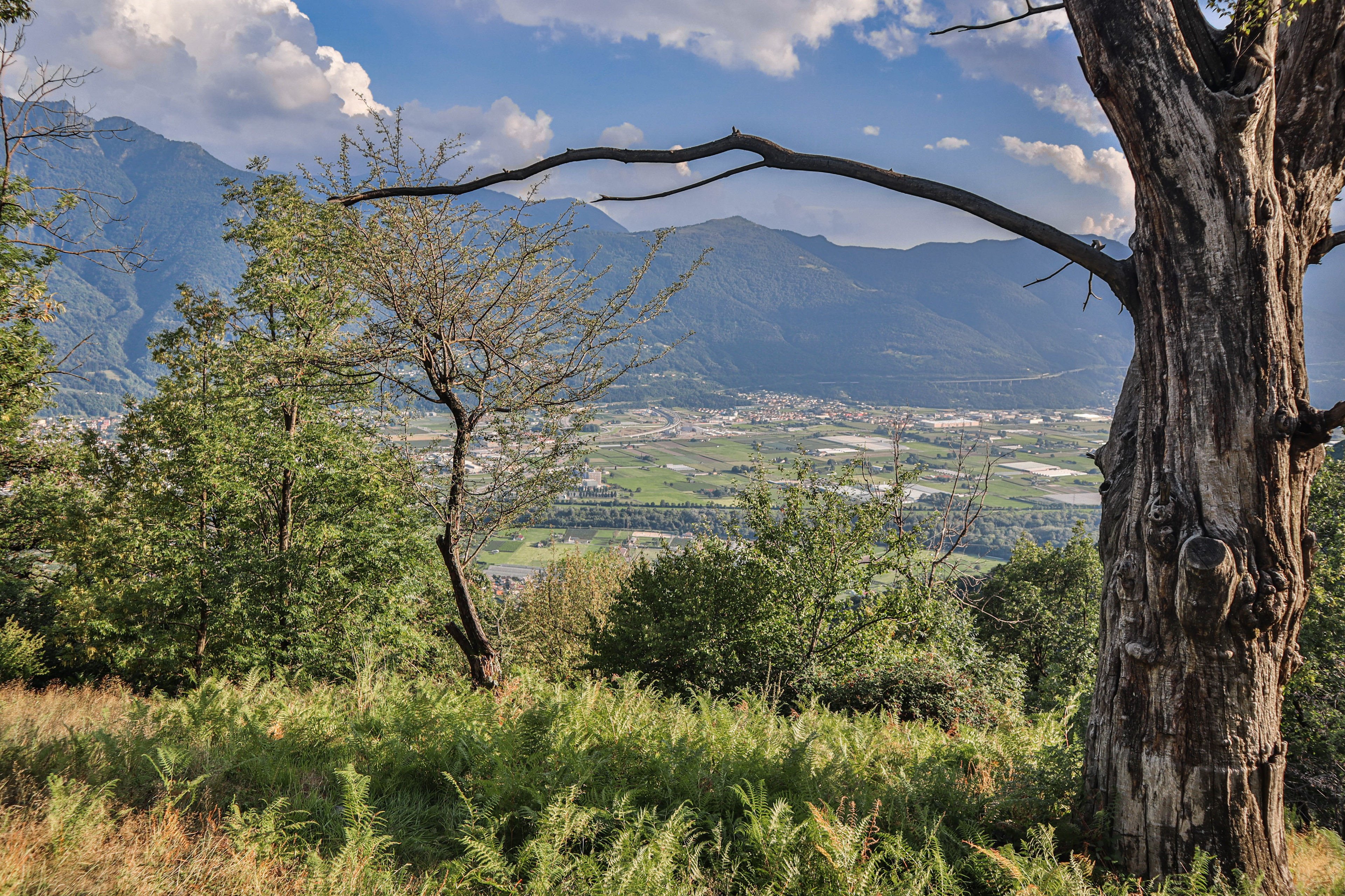 Bellinzona