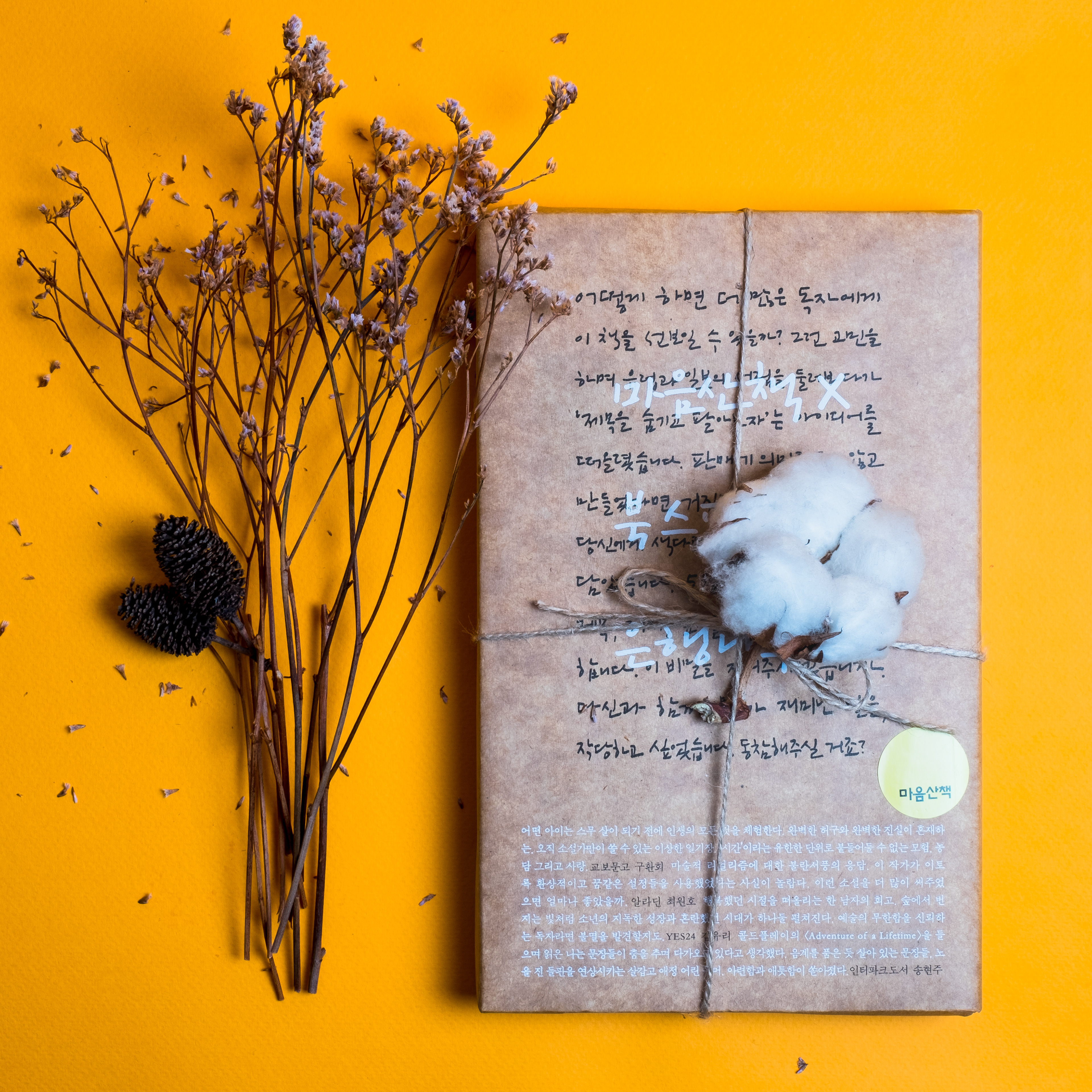Blind Book X