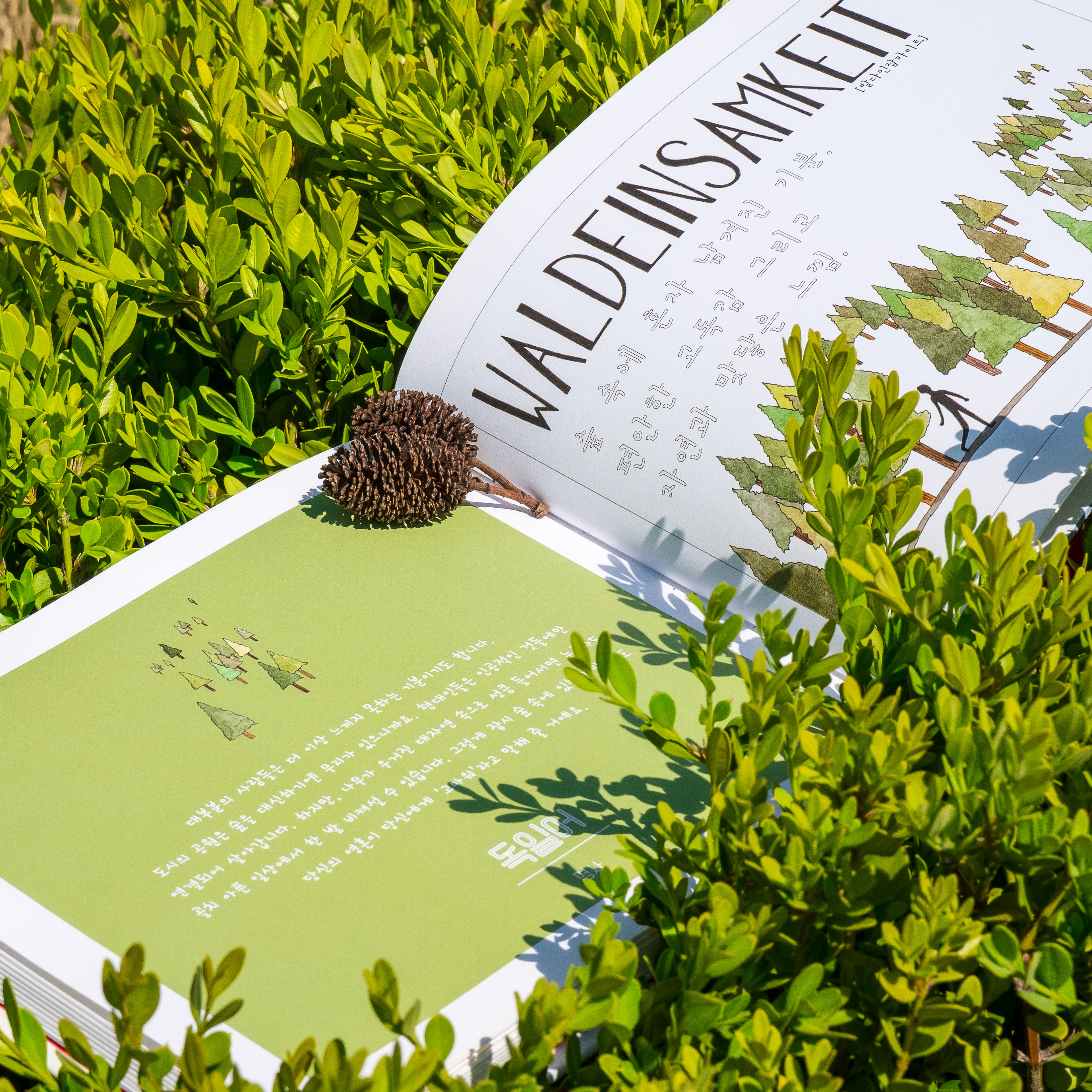 Lost in translation. Essay Book