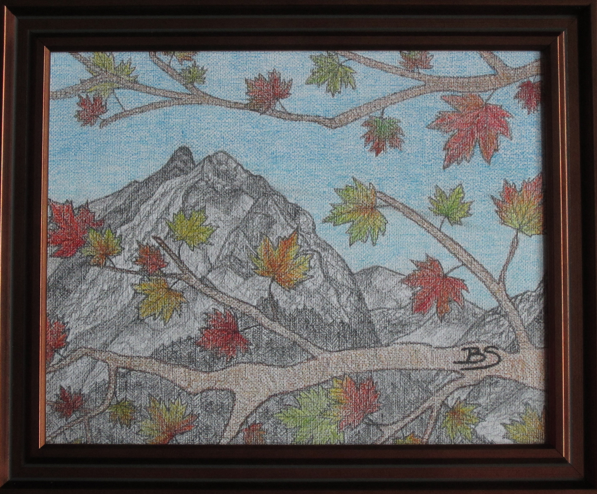 Golden Ears - pencil and pencil crayon on canvas