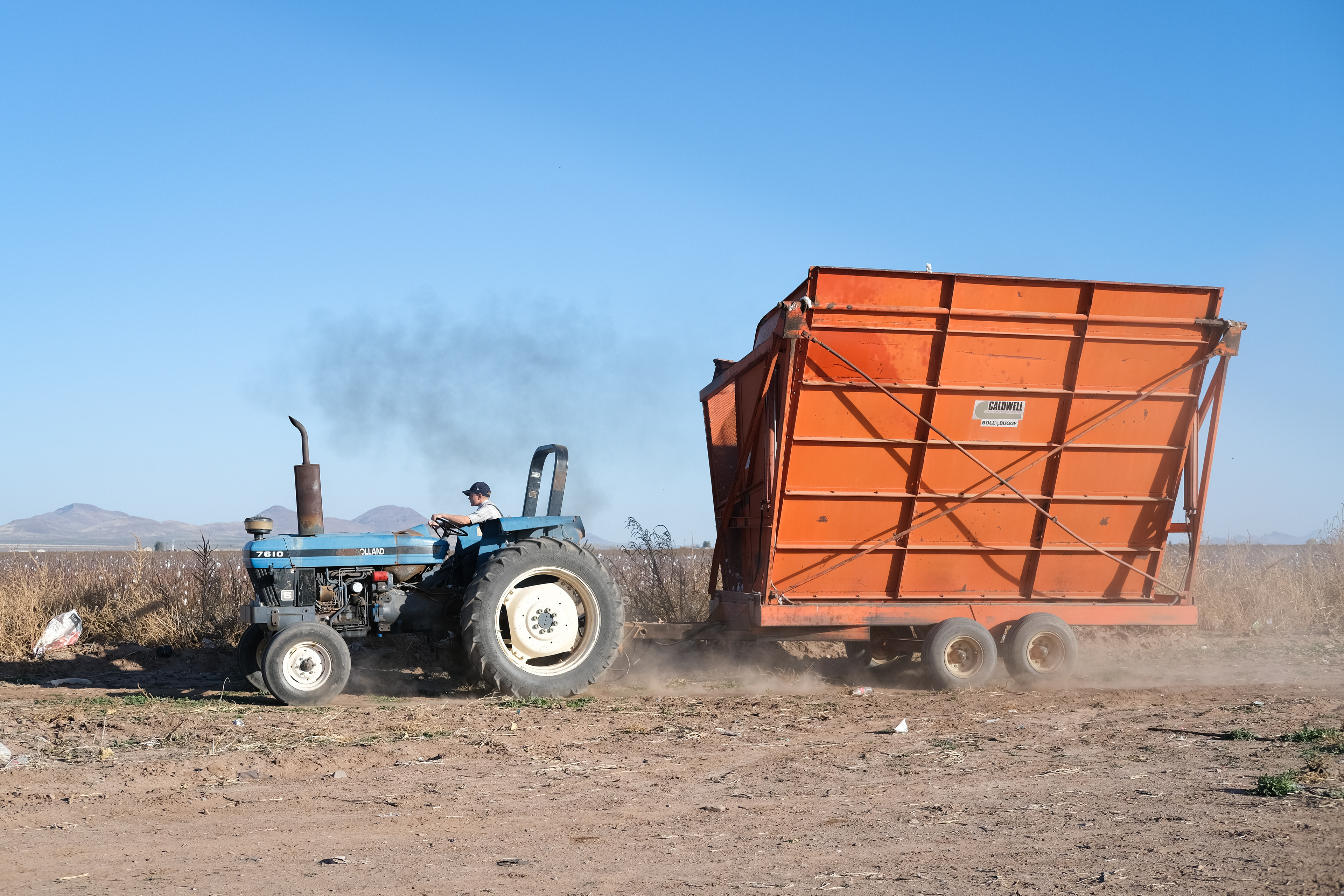 A mennonite boy drives his tractor in the cotton fields. Sabinal, Chihuahua