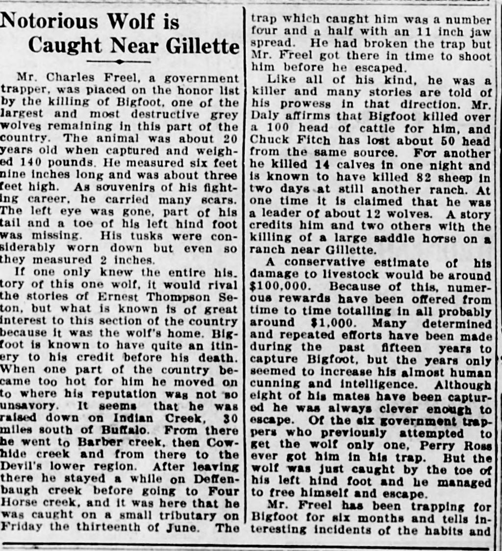 Rawlins Republican (Rawlins, Wyo.), July 17, 1924