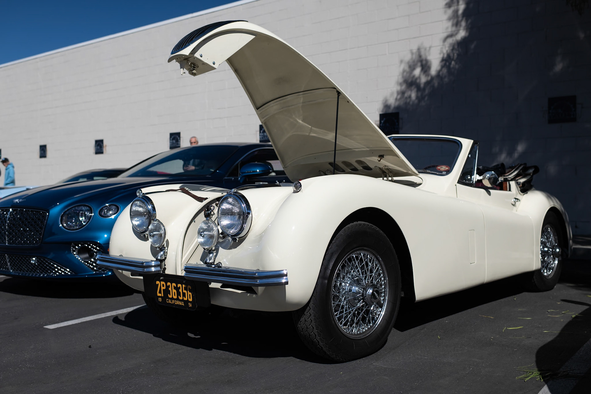 Jaguar XK120