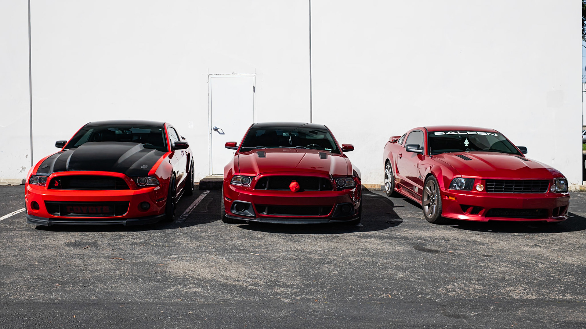 Ford Mustangs