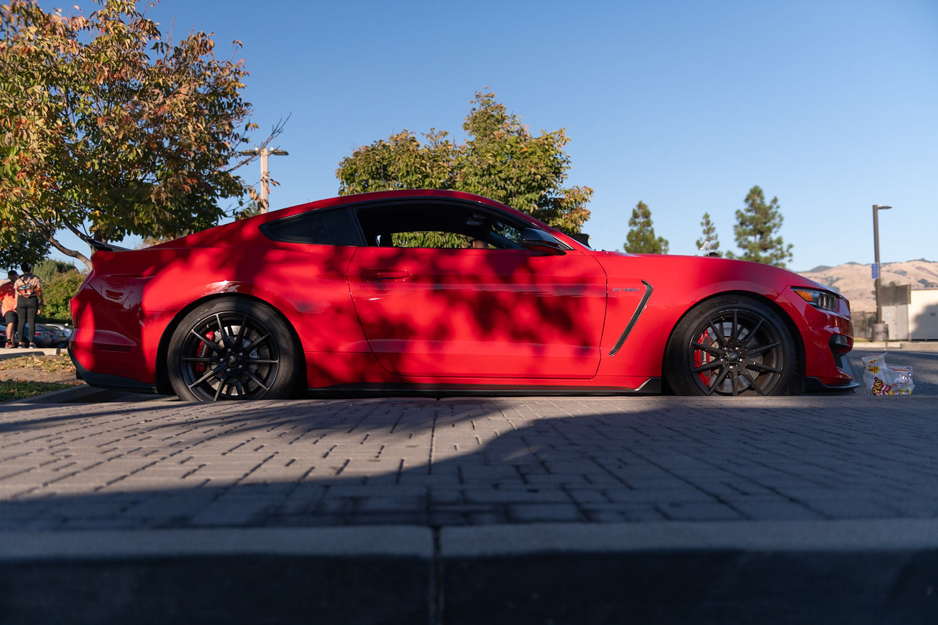 Mustang GT350