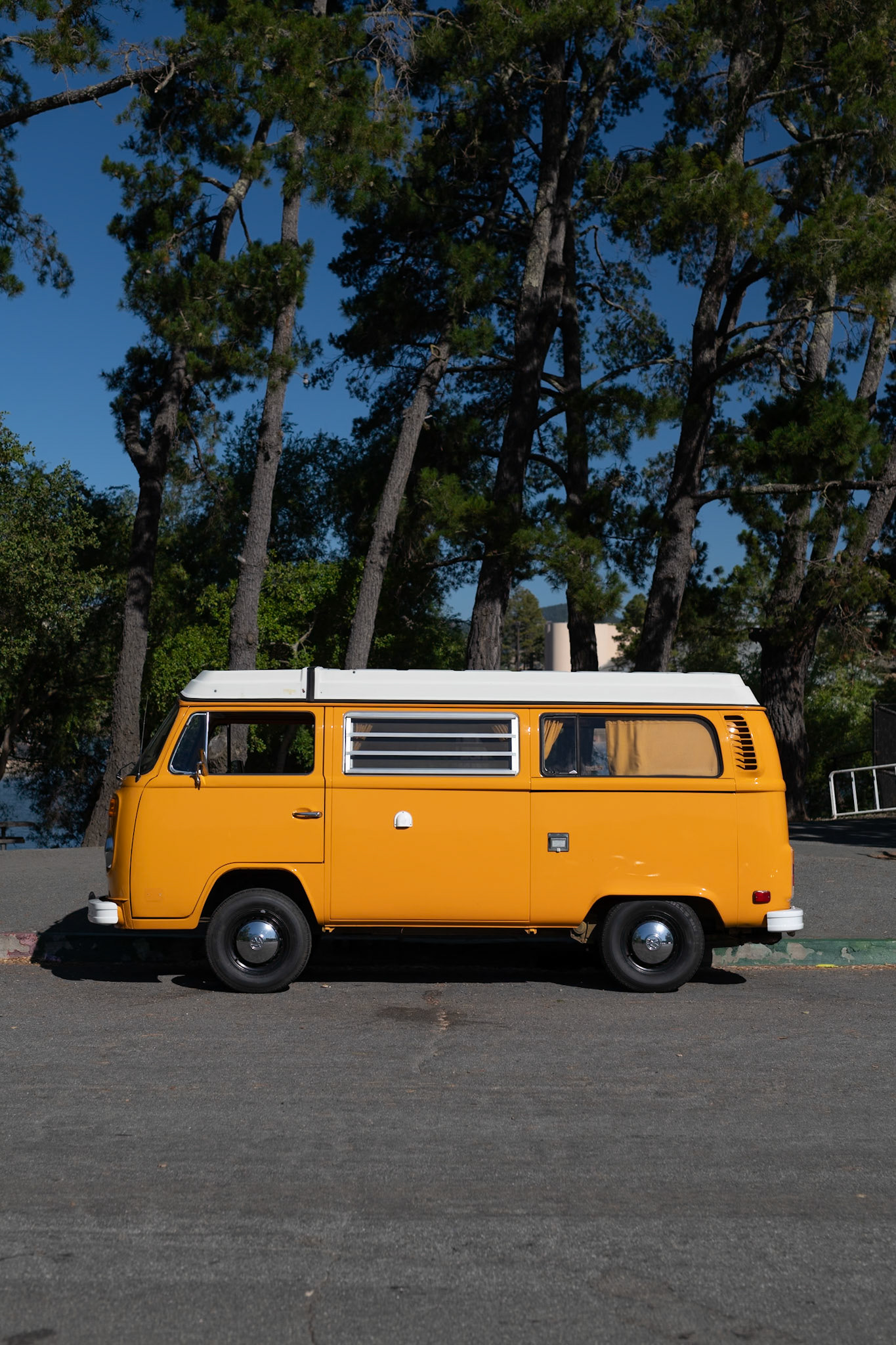 Volkswagen Bus