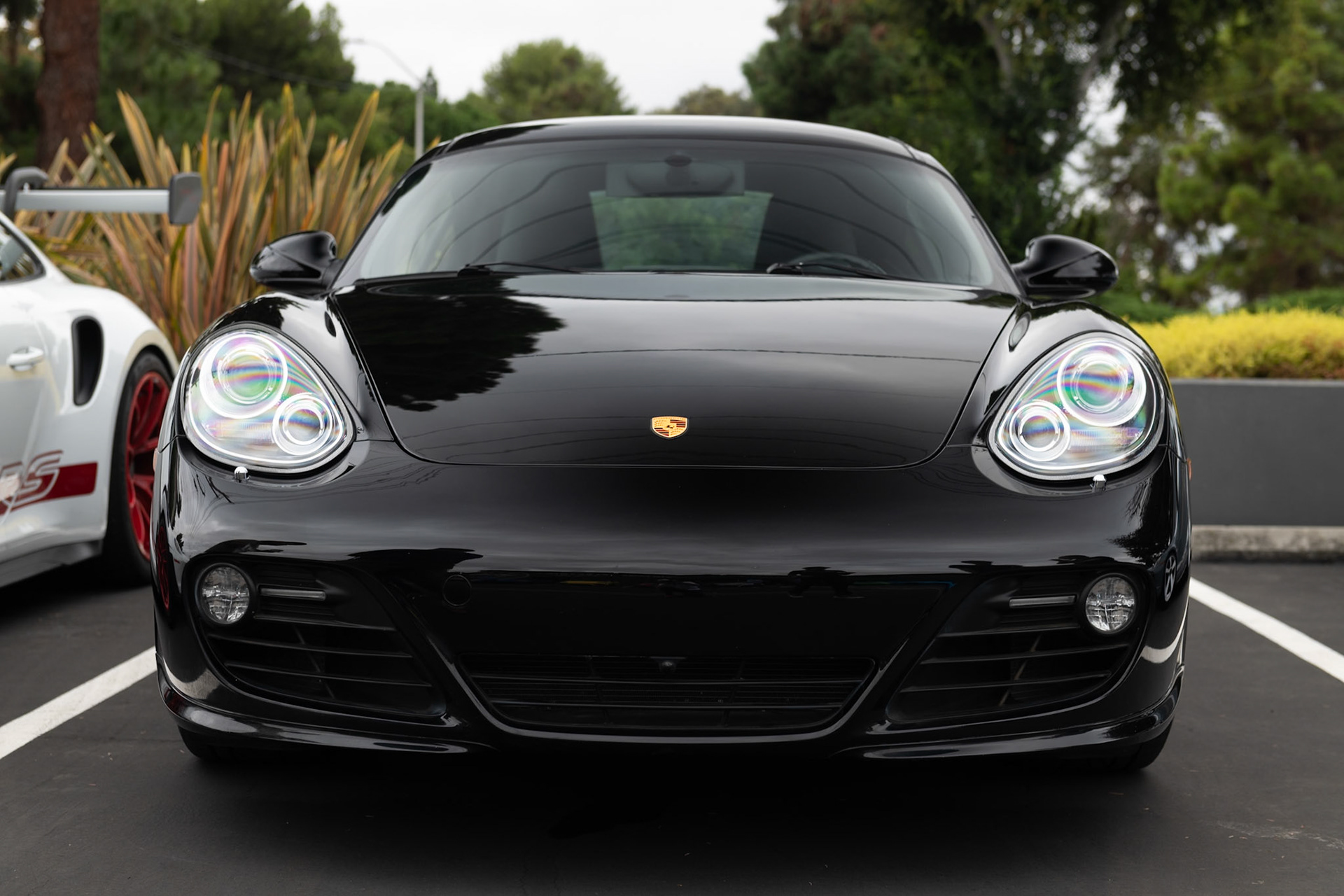 Porsche Carrera Black Edition