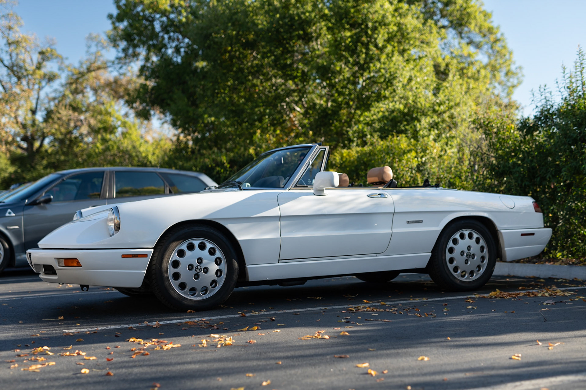 Alfa Romeo Spider