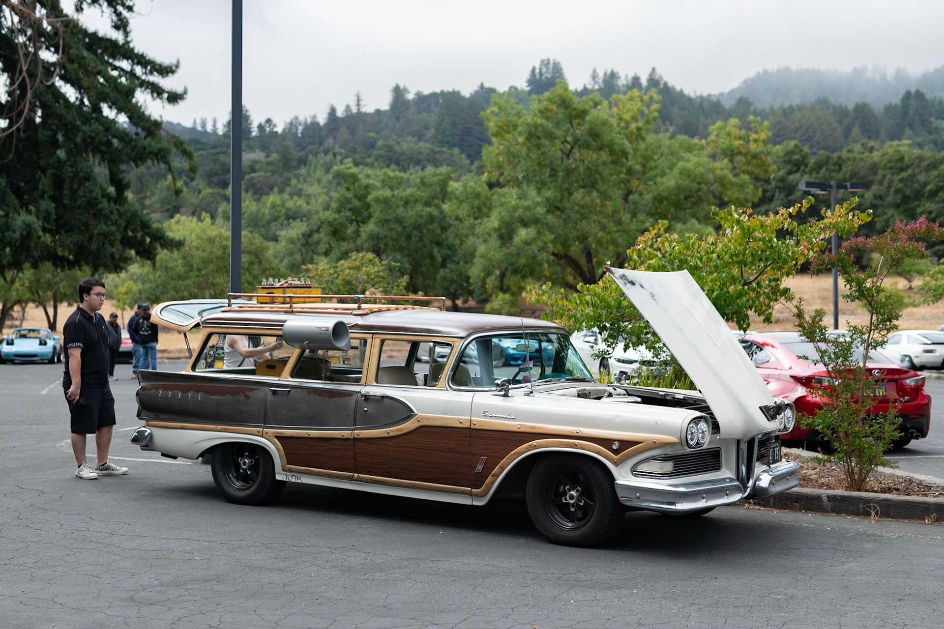Edsel Bermuda