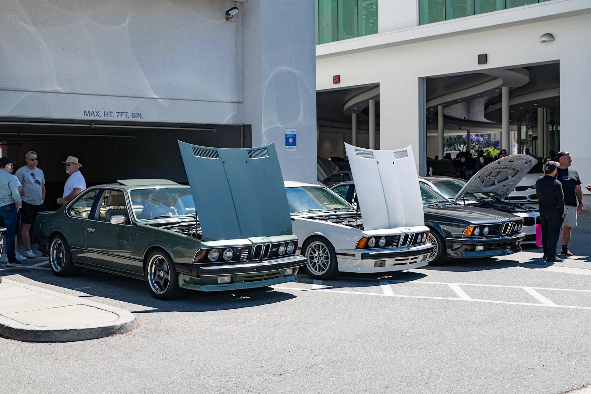 BMW M6