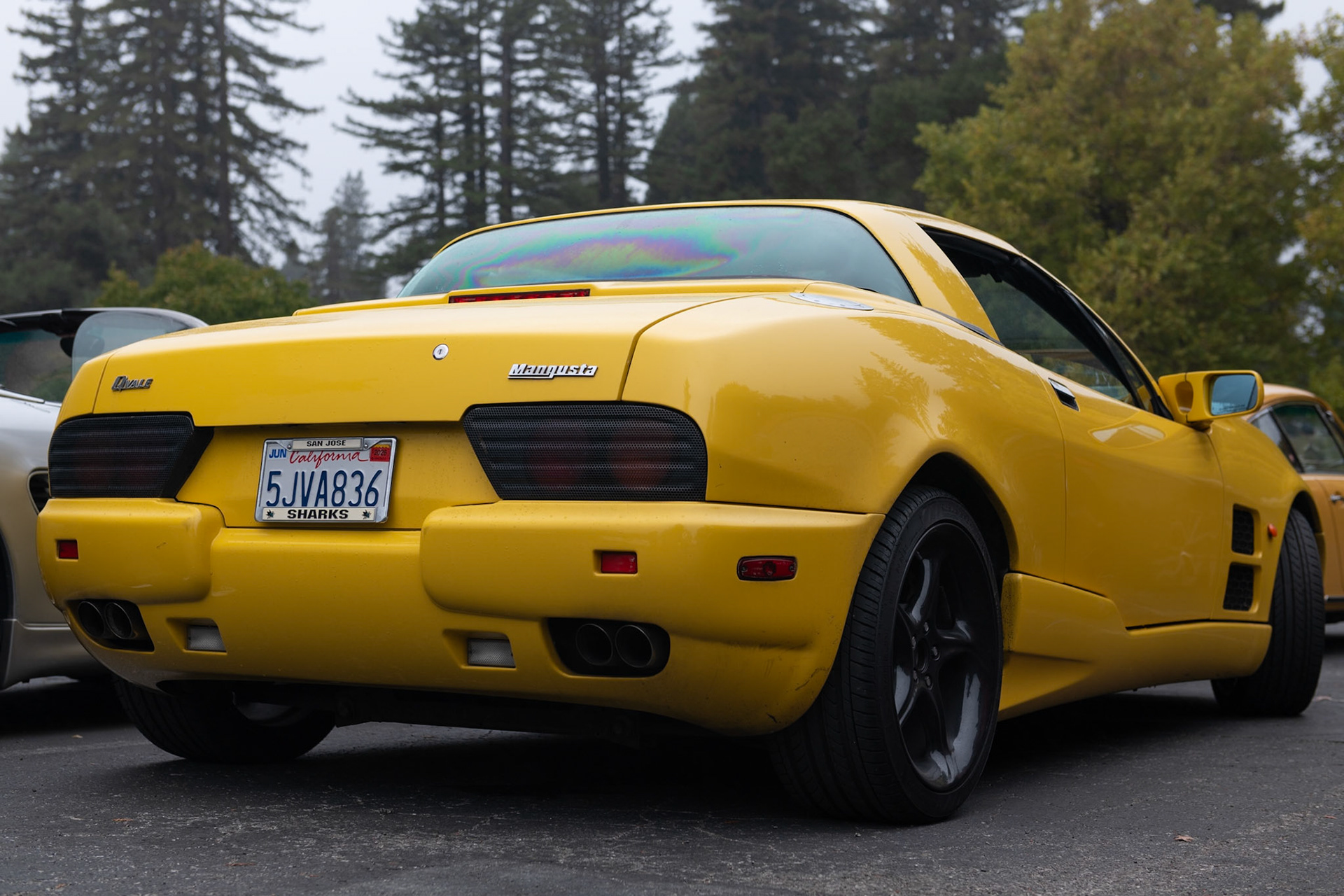 Qvale Mangusta