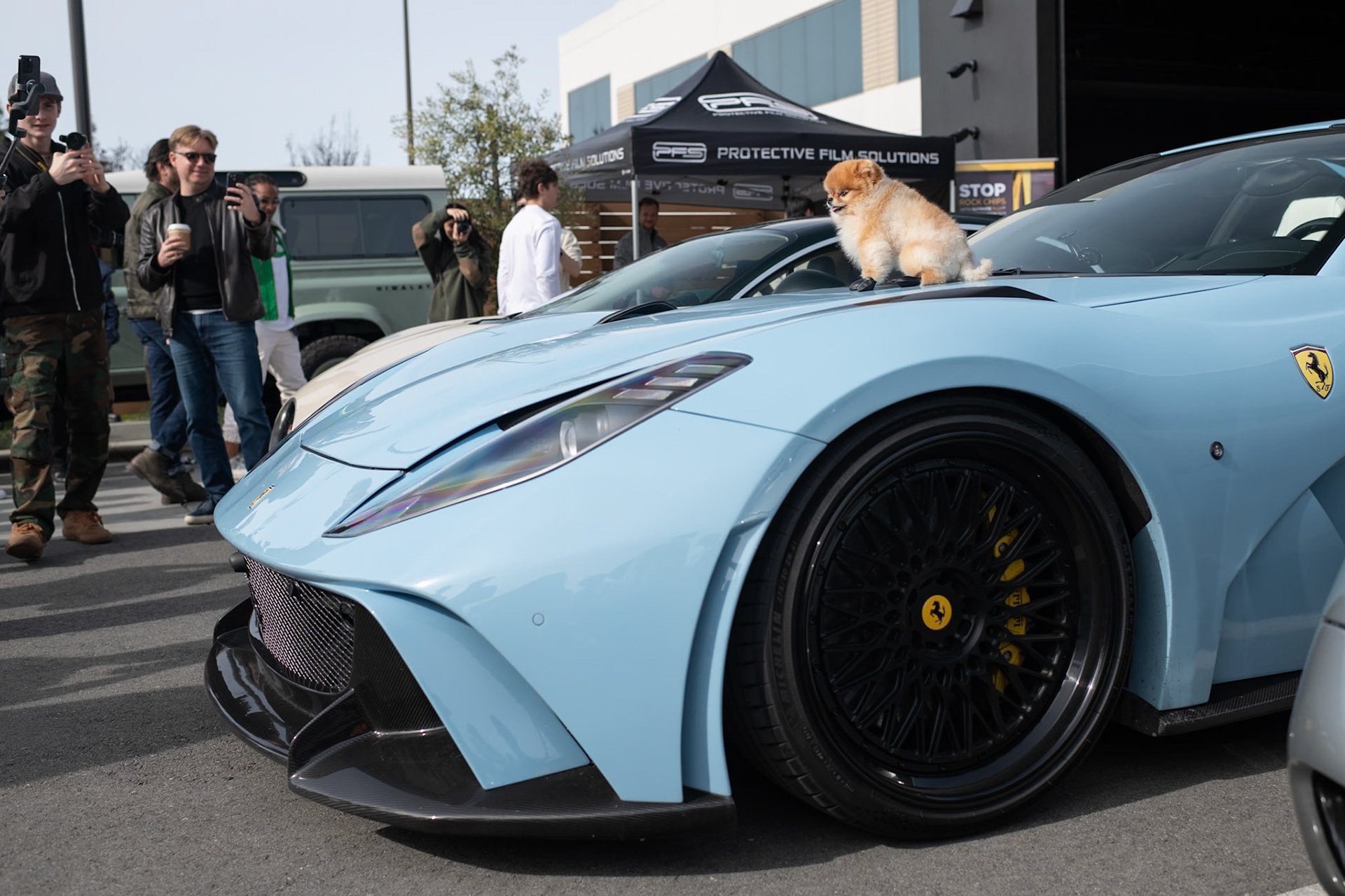 Pom on a Ferrari