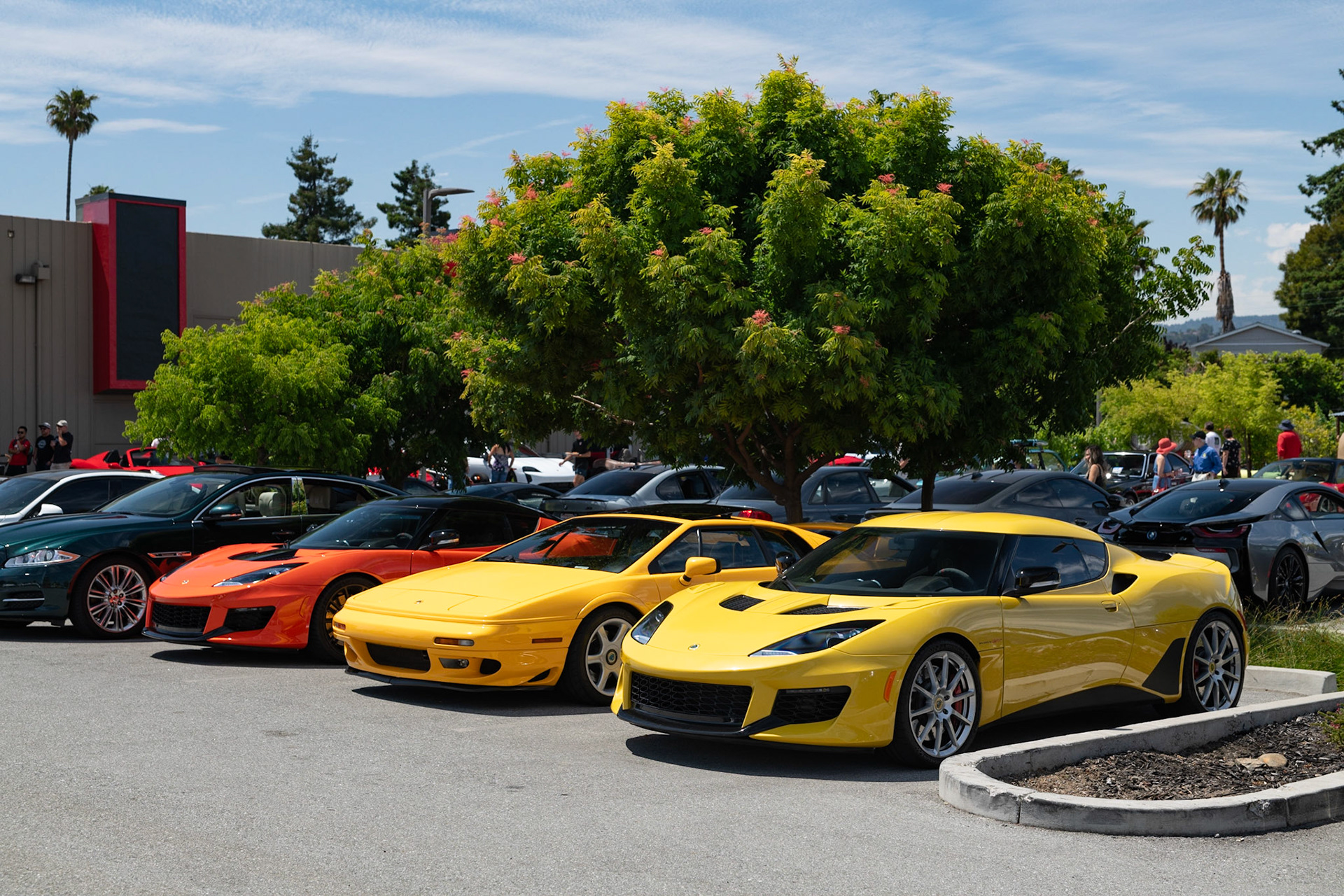 Lotus Evora GT, Lotus Elise