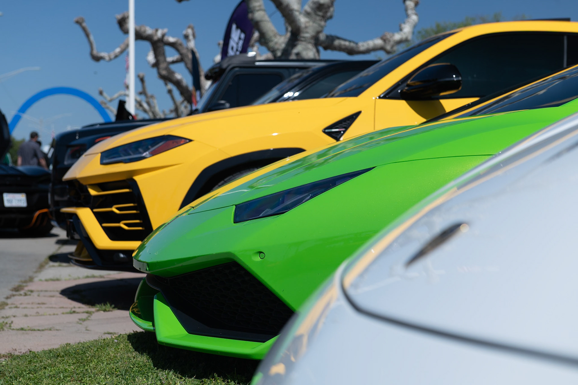 Lamborghinis