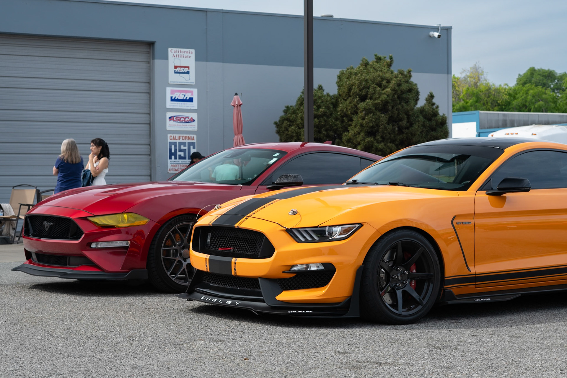 Ford Mustangs