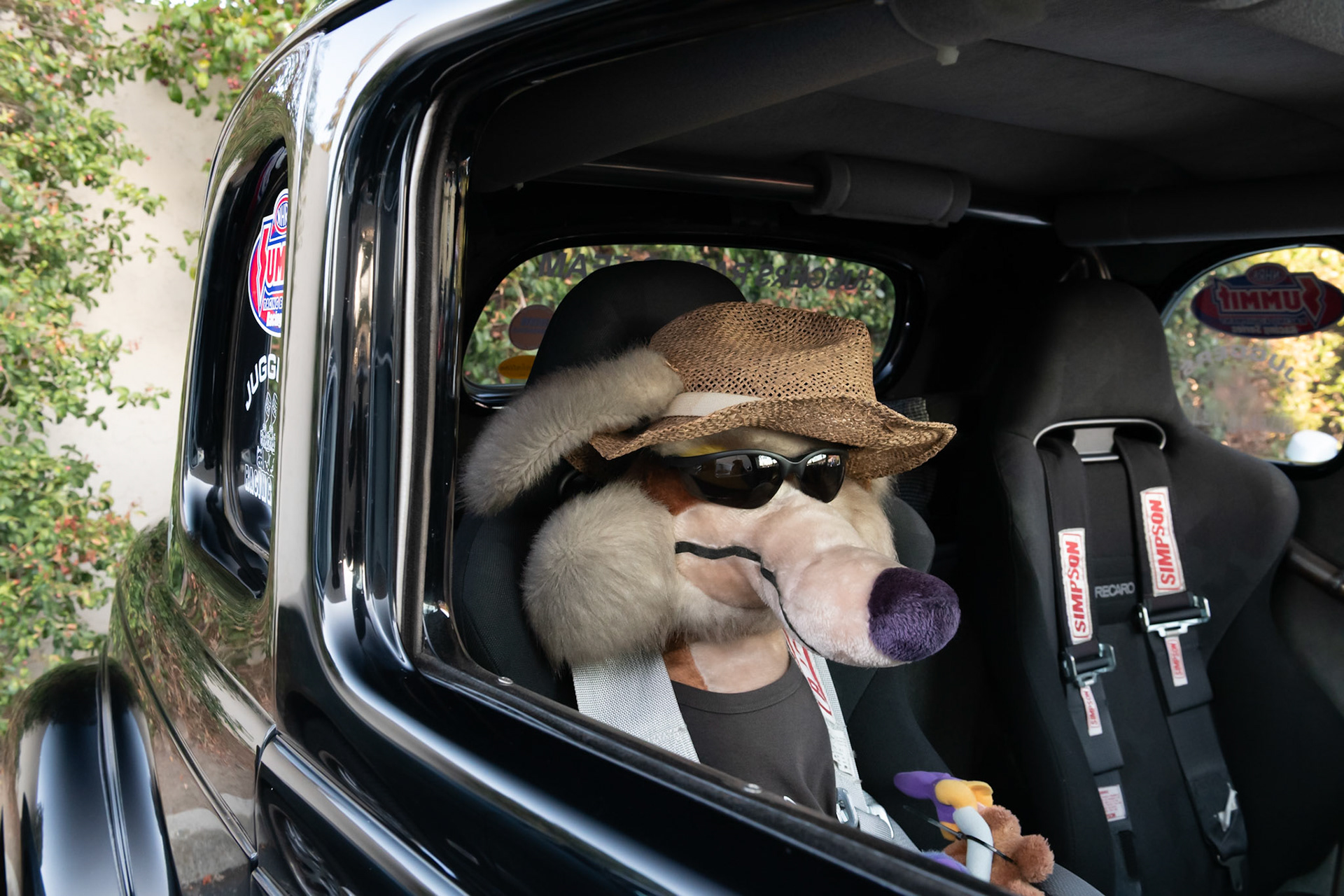 Coyote stuffed toy in hot rod