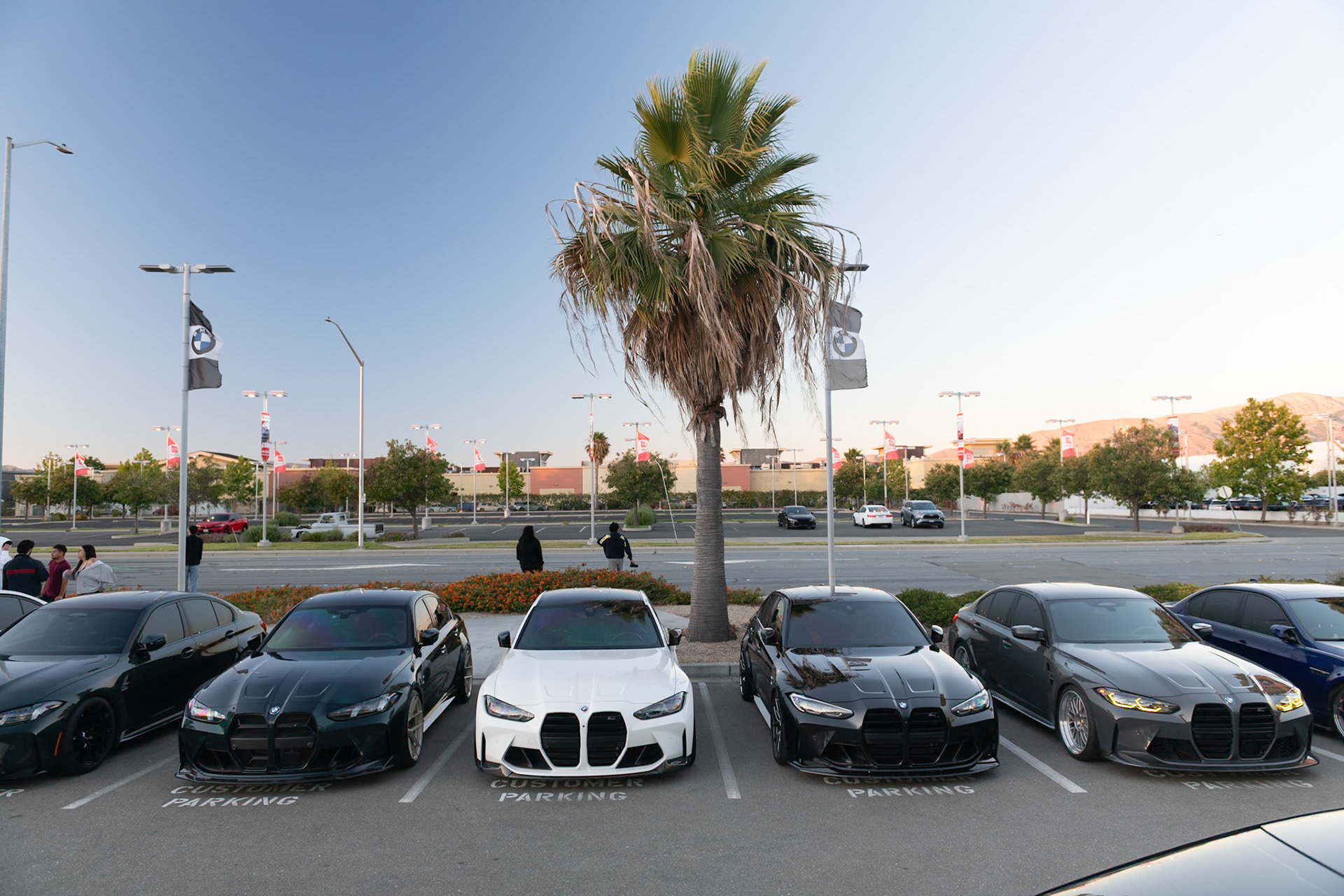 BMW M4s