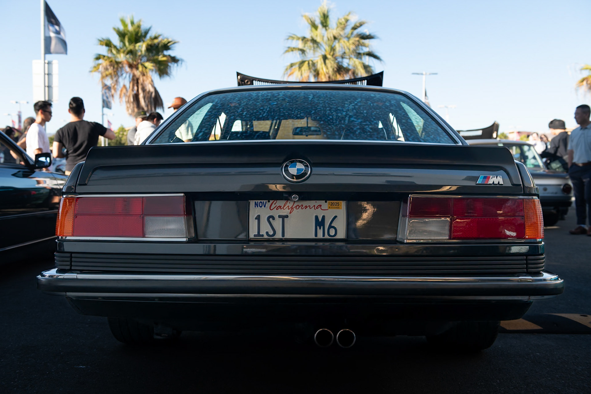 BMW M6