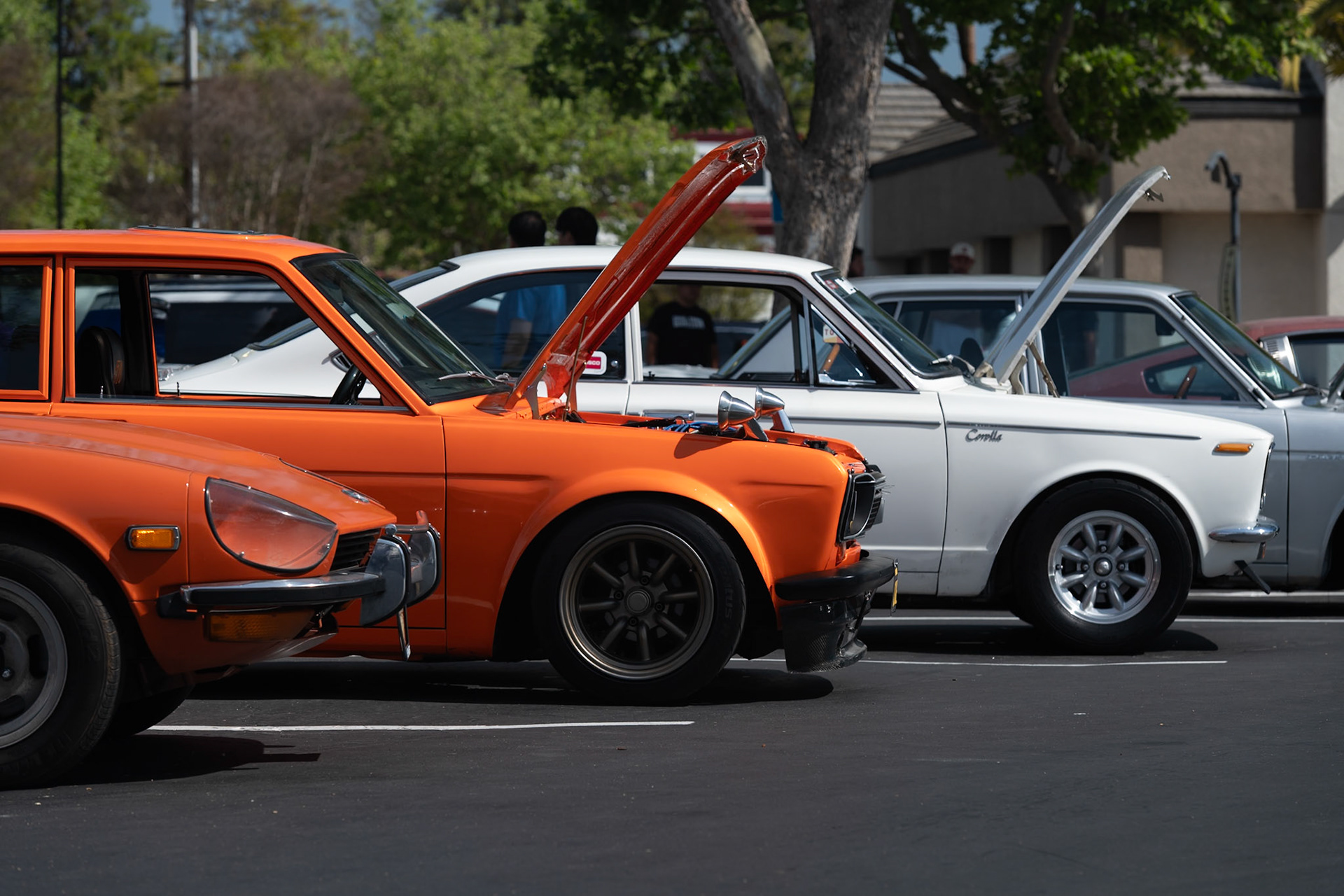 Datsun 510, Toyota Corolla
