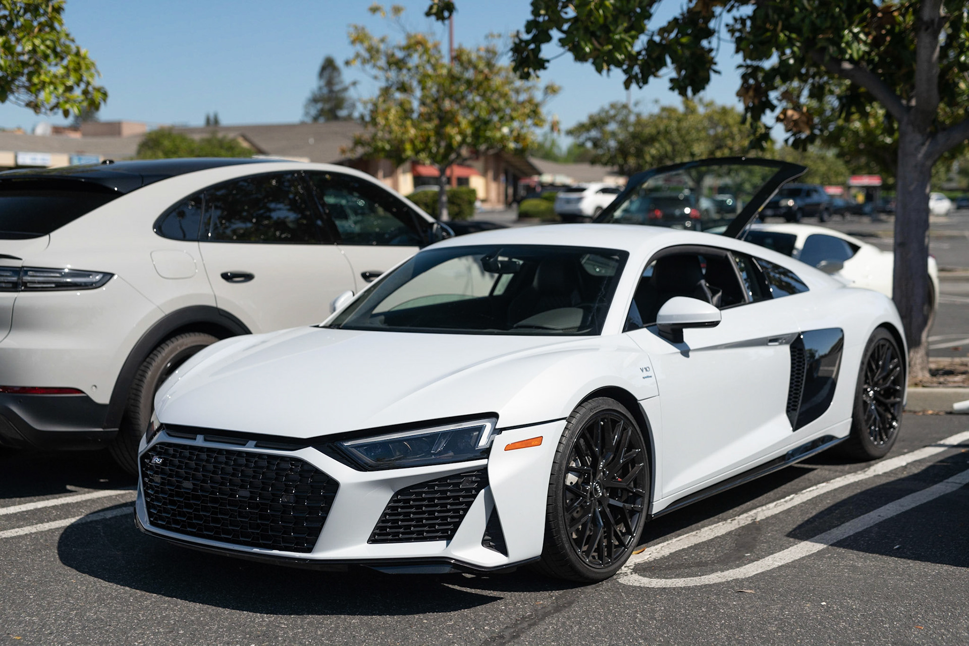 Audi R8