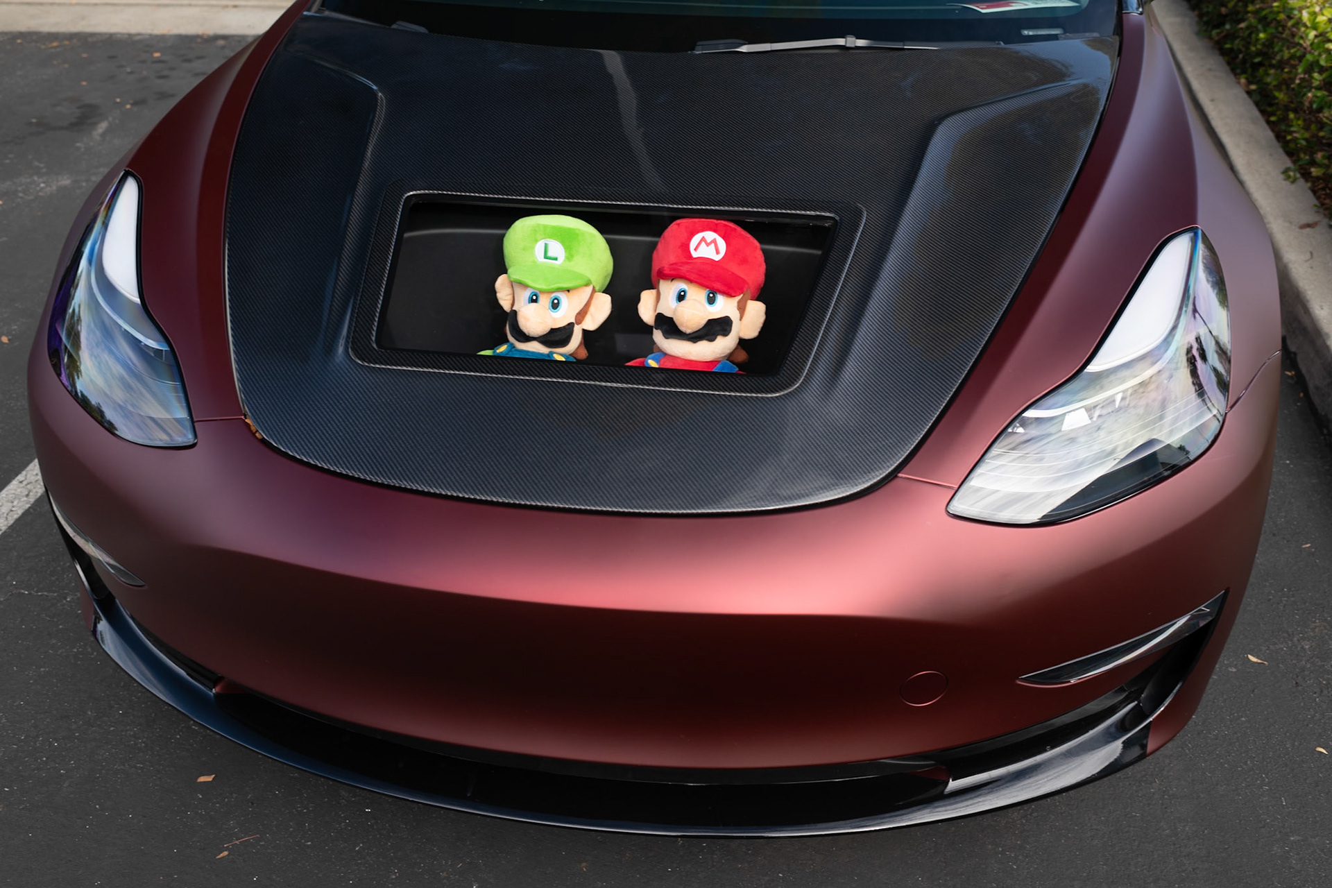 Mario and Luigi in Tesla trunk