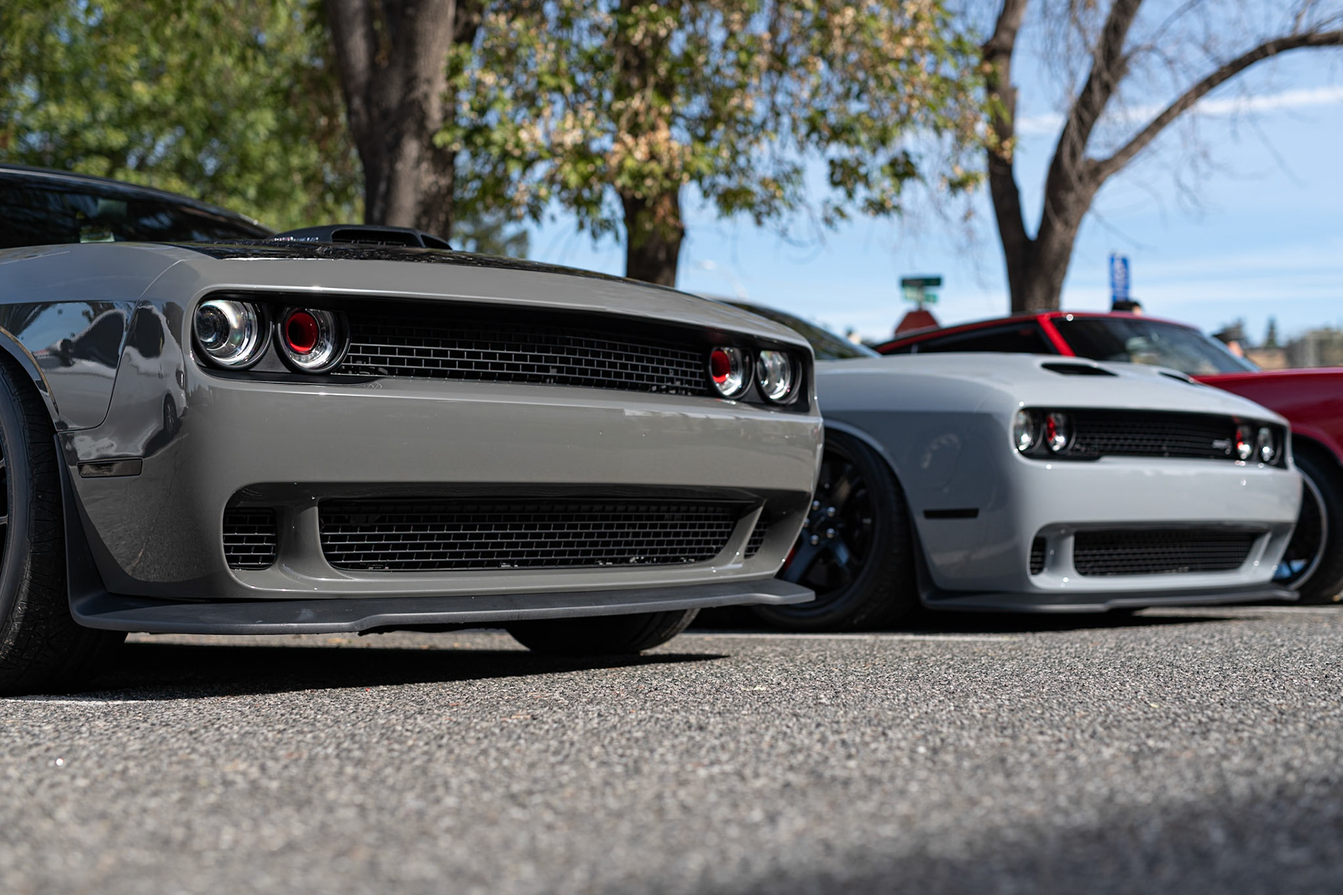 Dodge Chargers