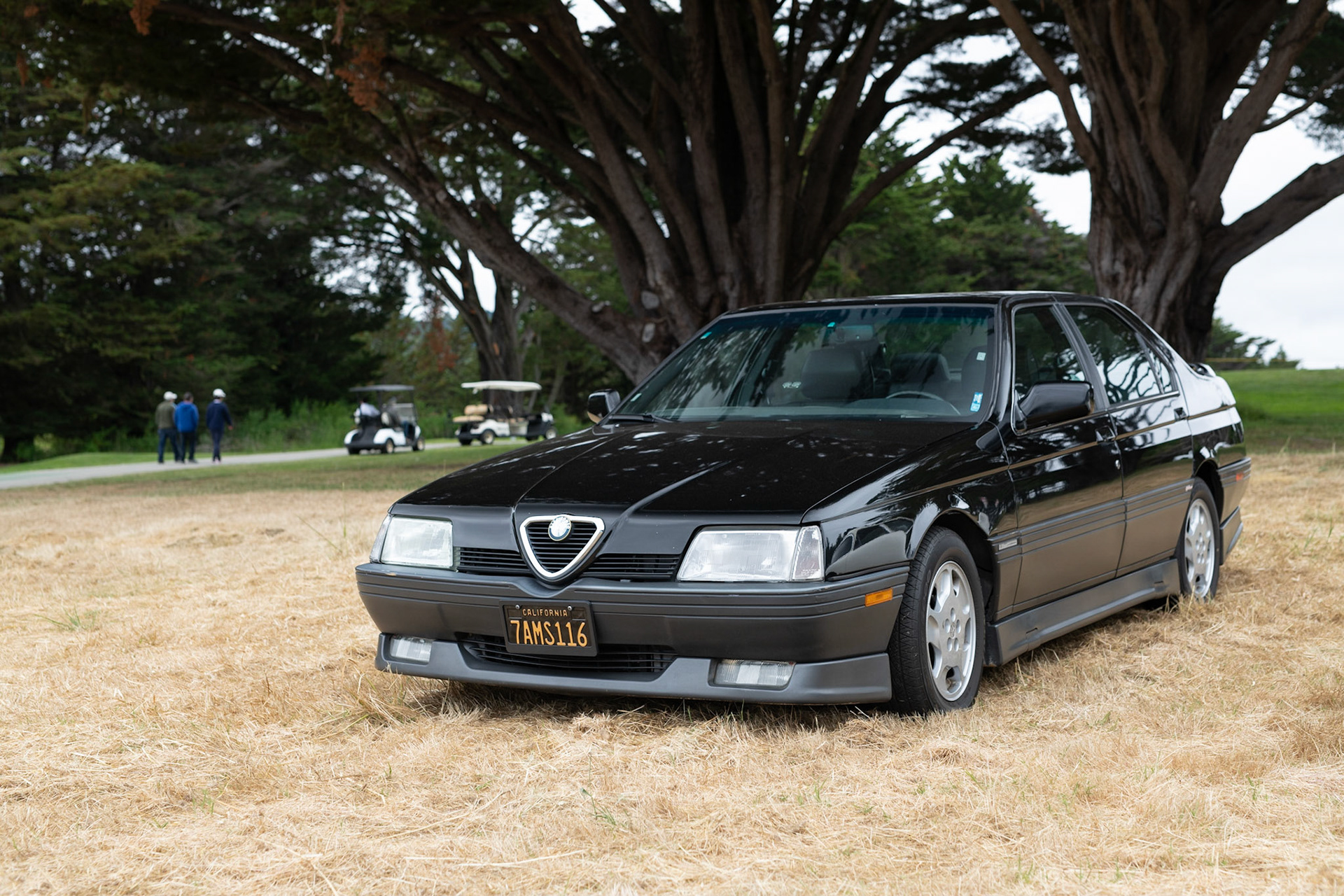 Alfa Romeo 164S