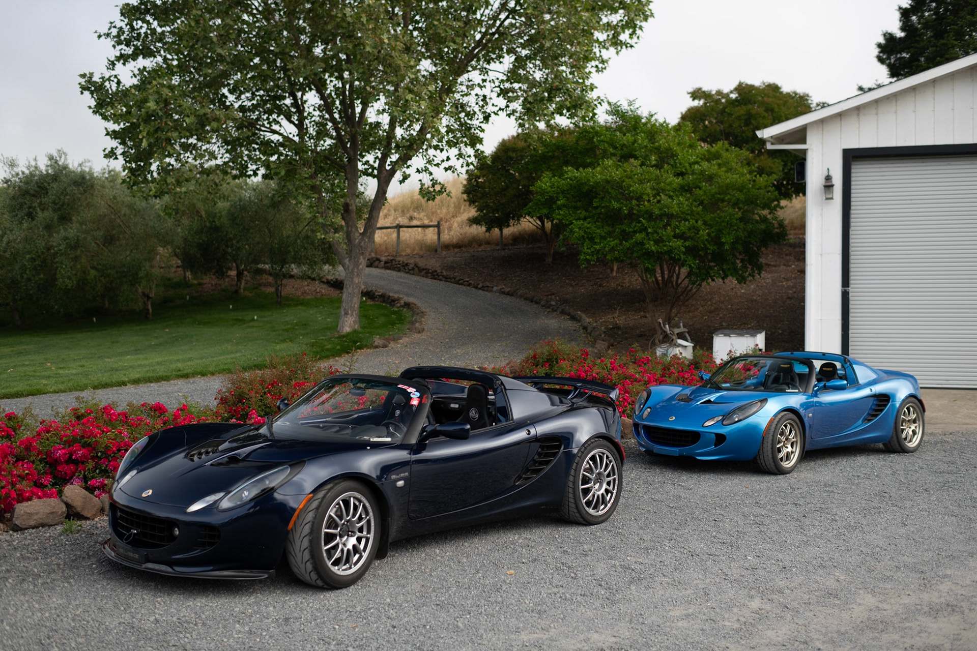 Lotus Elise