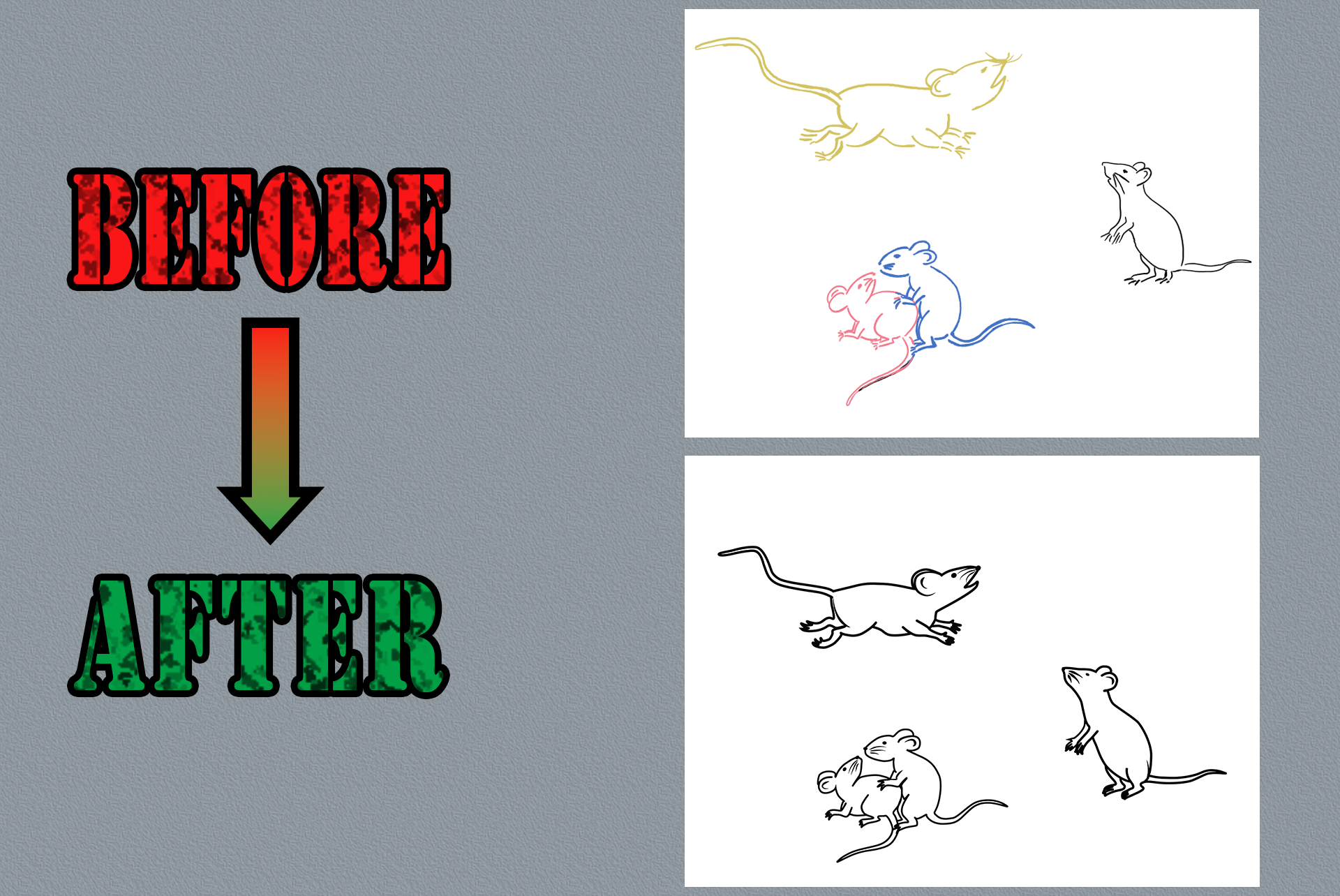 Refining sketches into high-quality illustrations.