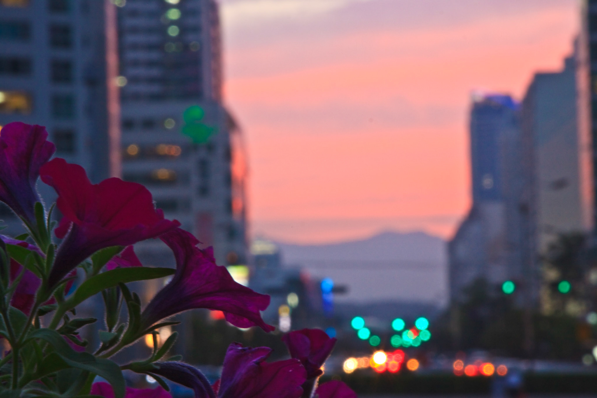 Trumpets at Dusk
