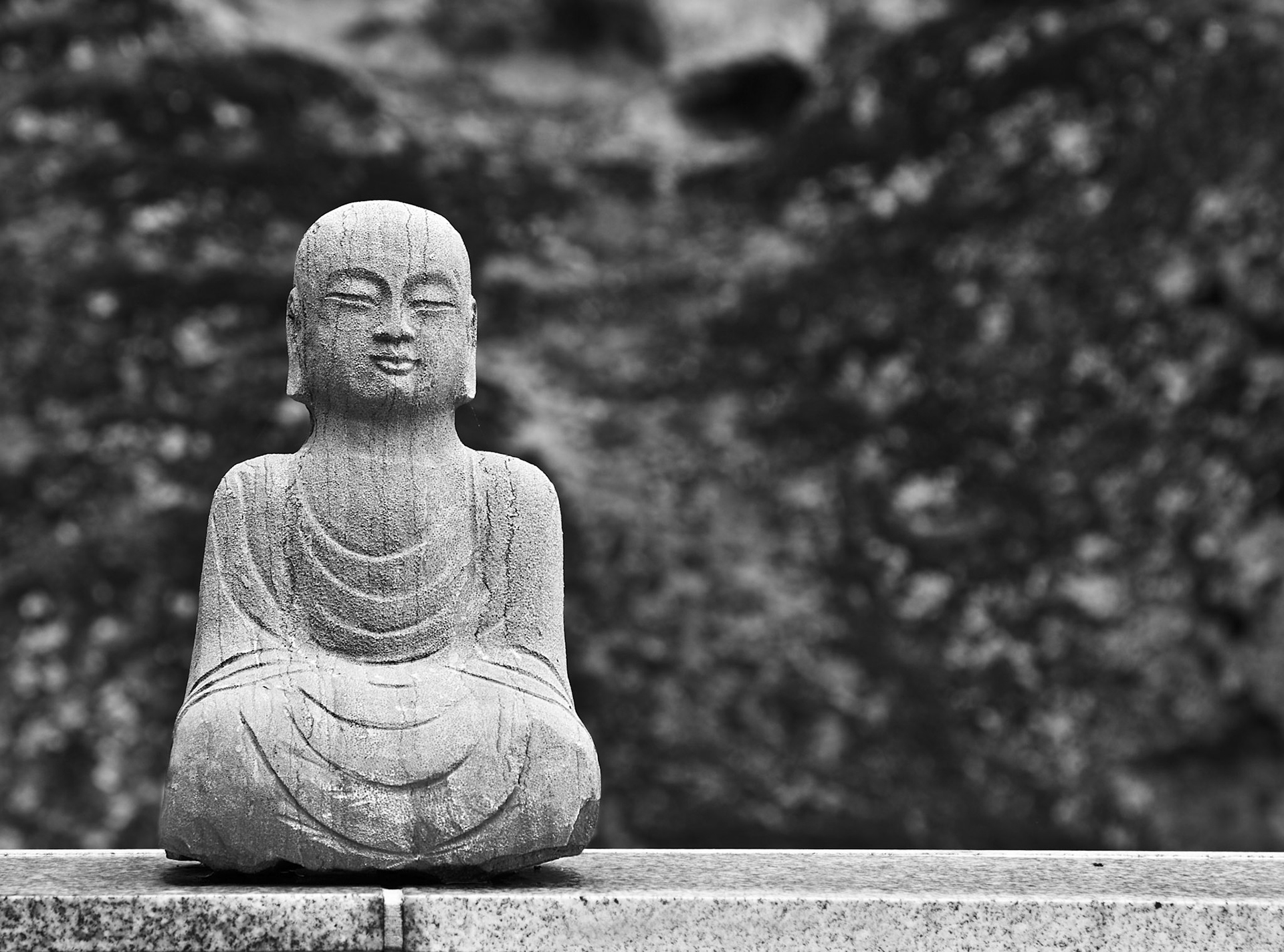 Contemplation of Stone
