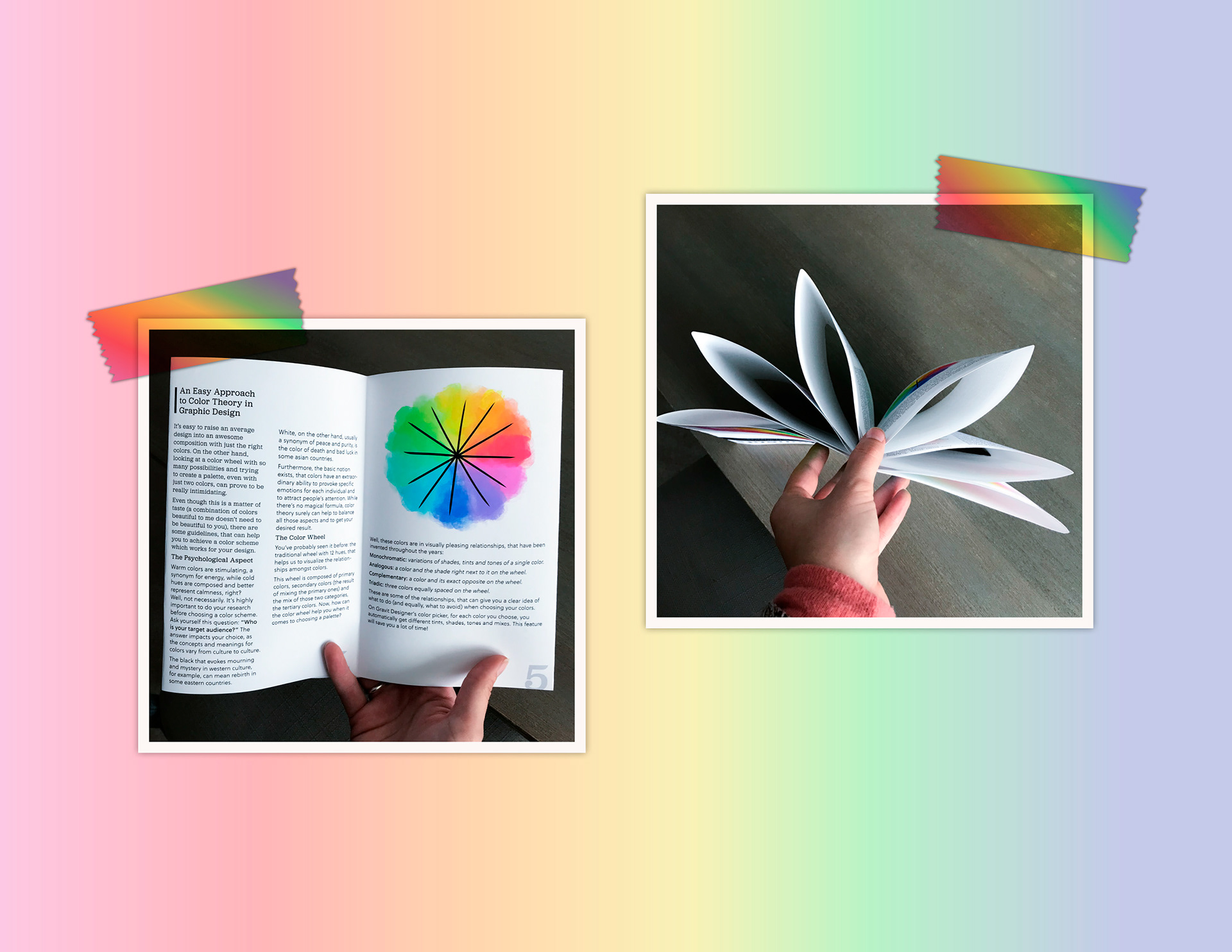Interior spread & bottom view of the paper engineering