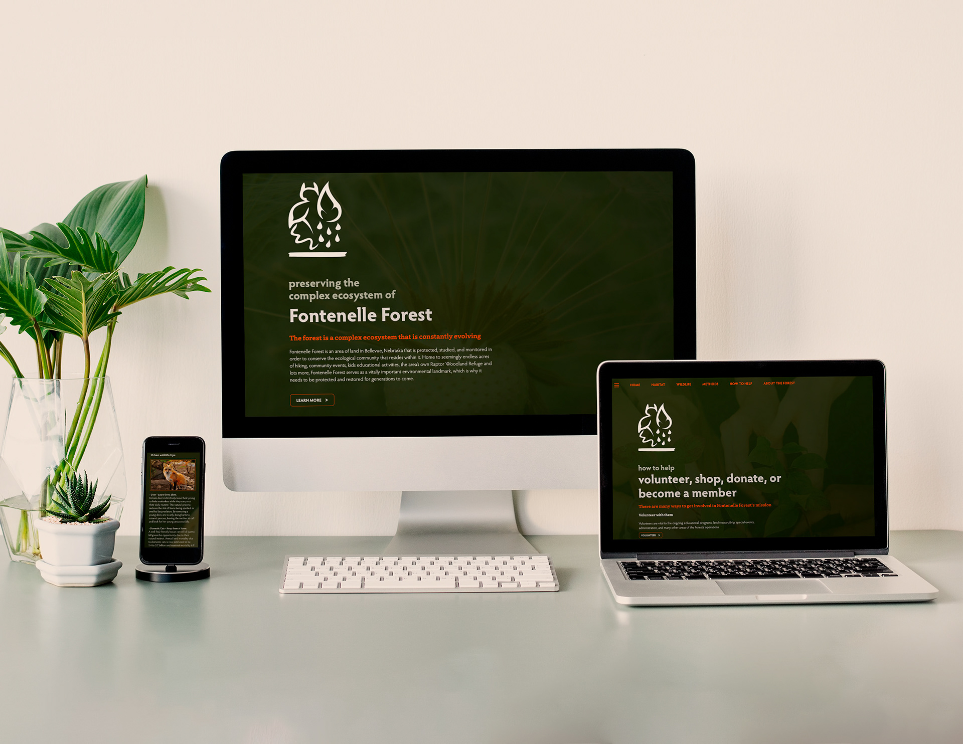 Different pages of the site on various devices