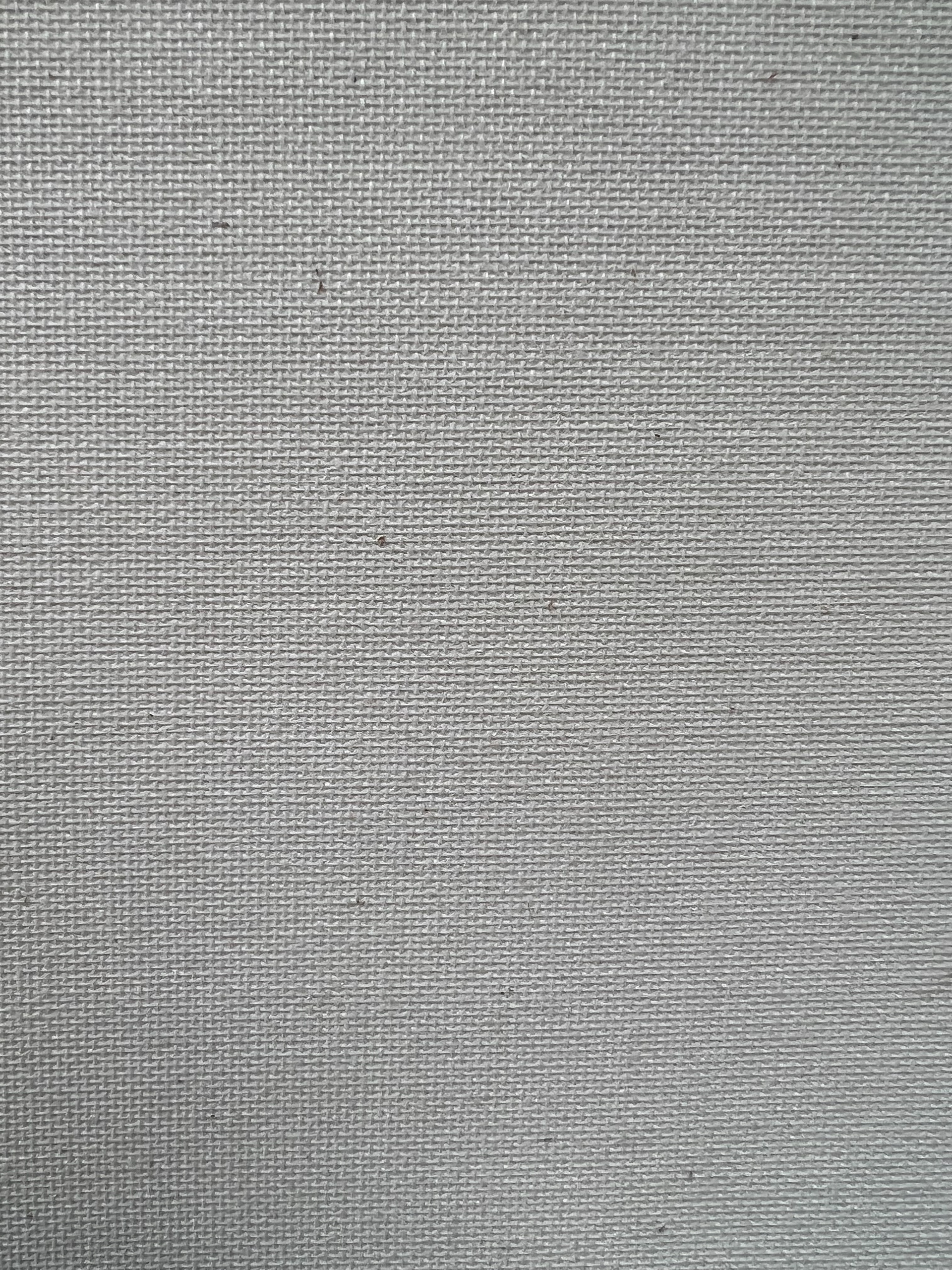 Closeup of canvas texture (back)