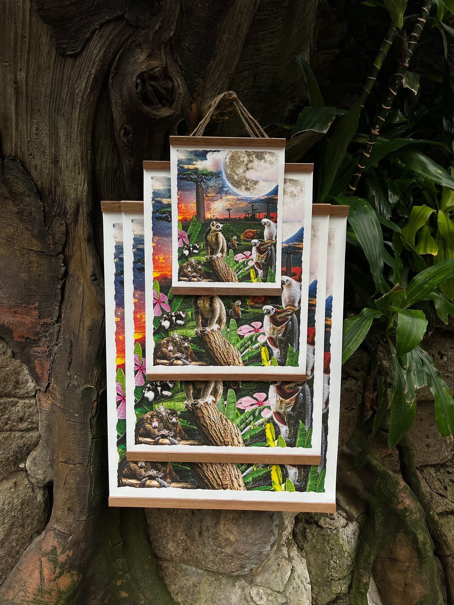 Canvas in various sizes