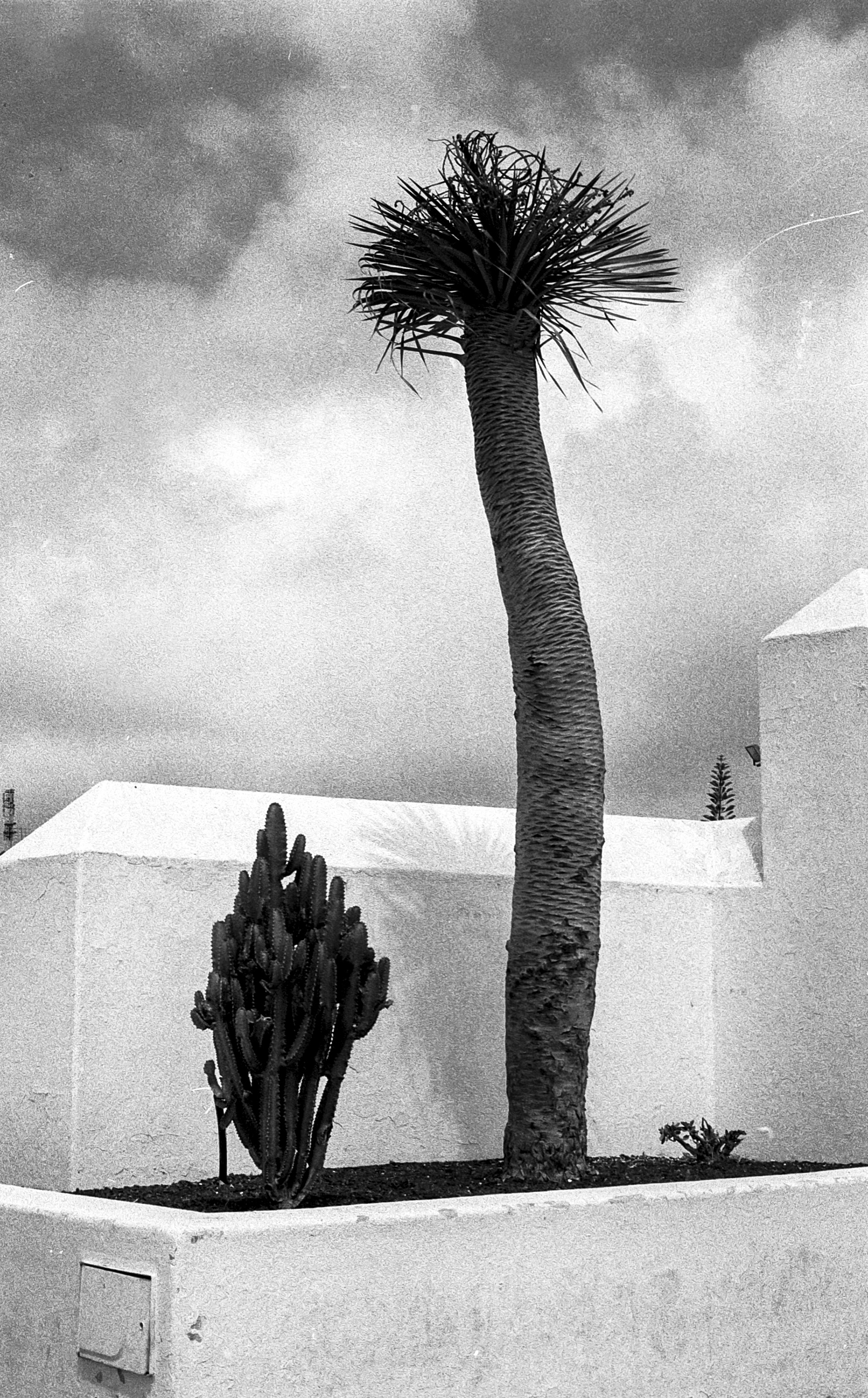 Casa Museo del Campesino, Lanzarote