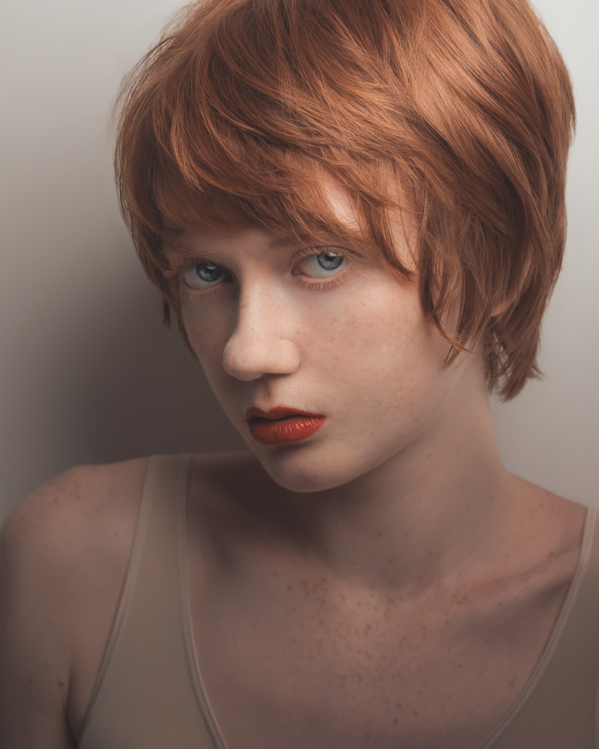 モデルポートフォリオ - Model Portfolio