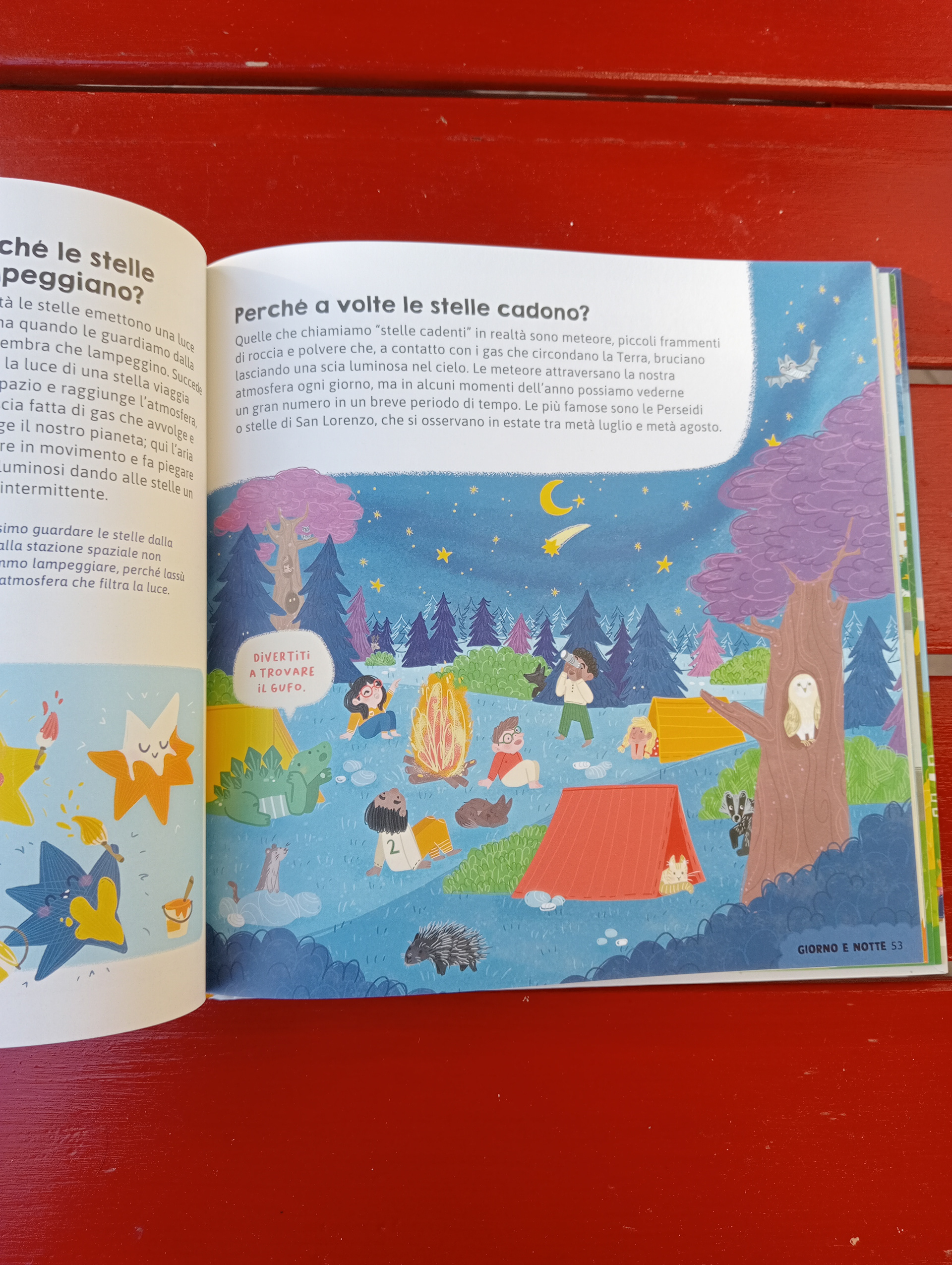 "Il mio libro dei Perché" Editoriale Scienza, illustrations by Jessica Martinello.