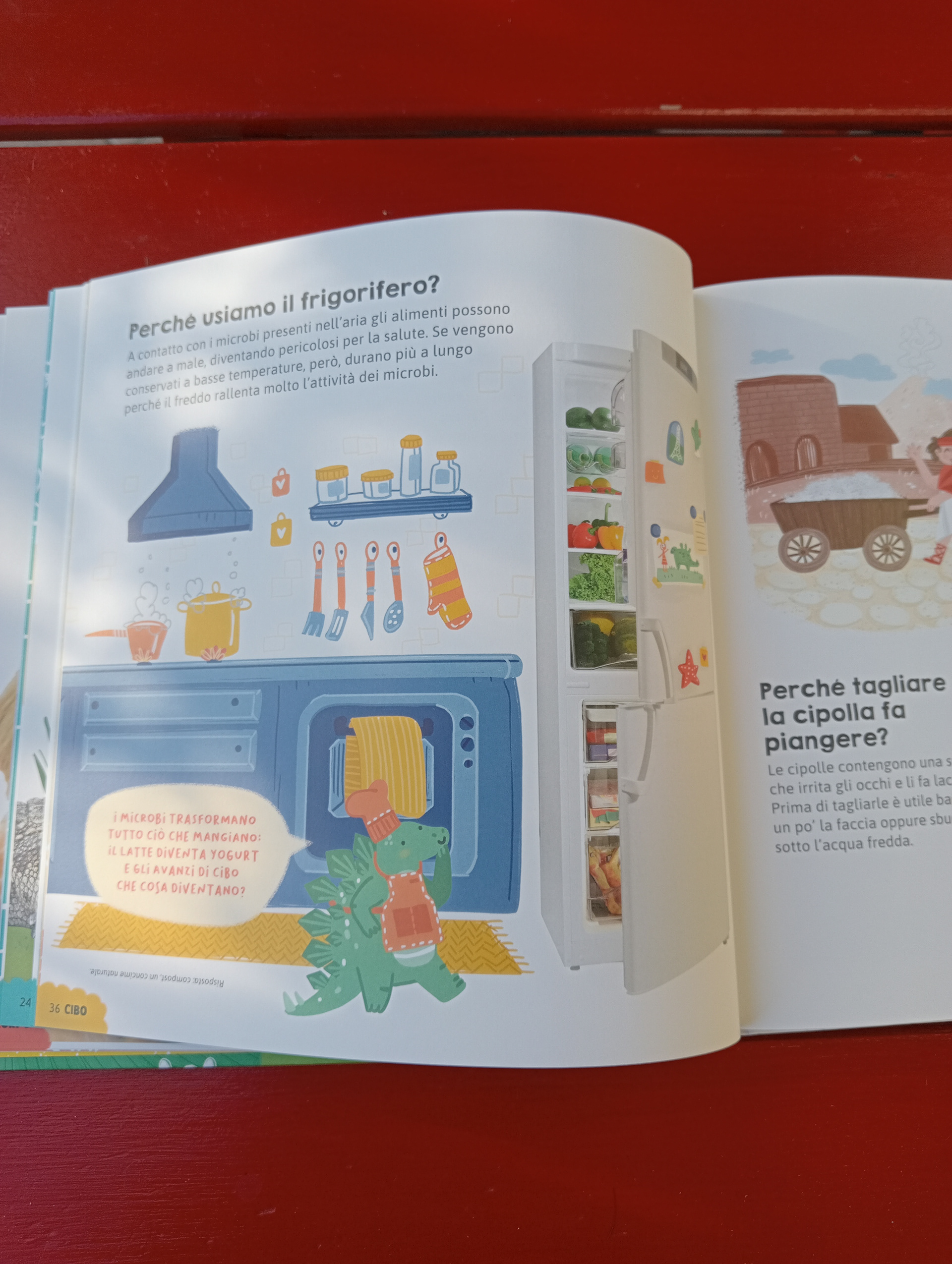 "Il mio libro dei Perché" Editoriale Scienza, illustrations by Jessica Martinello.
