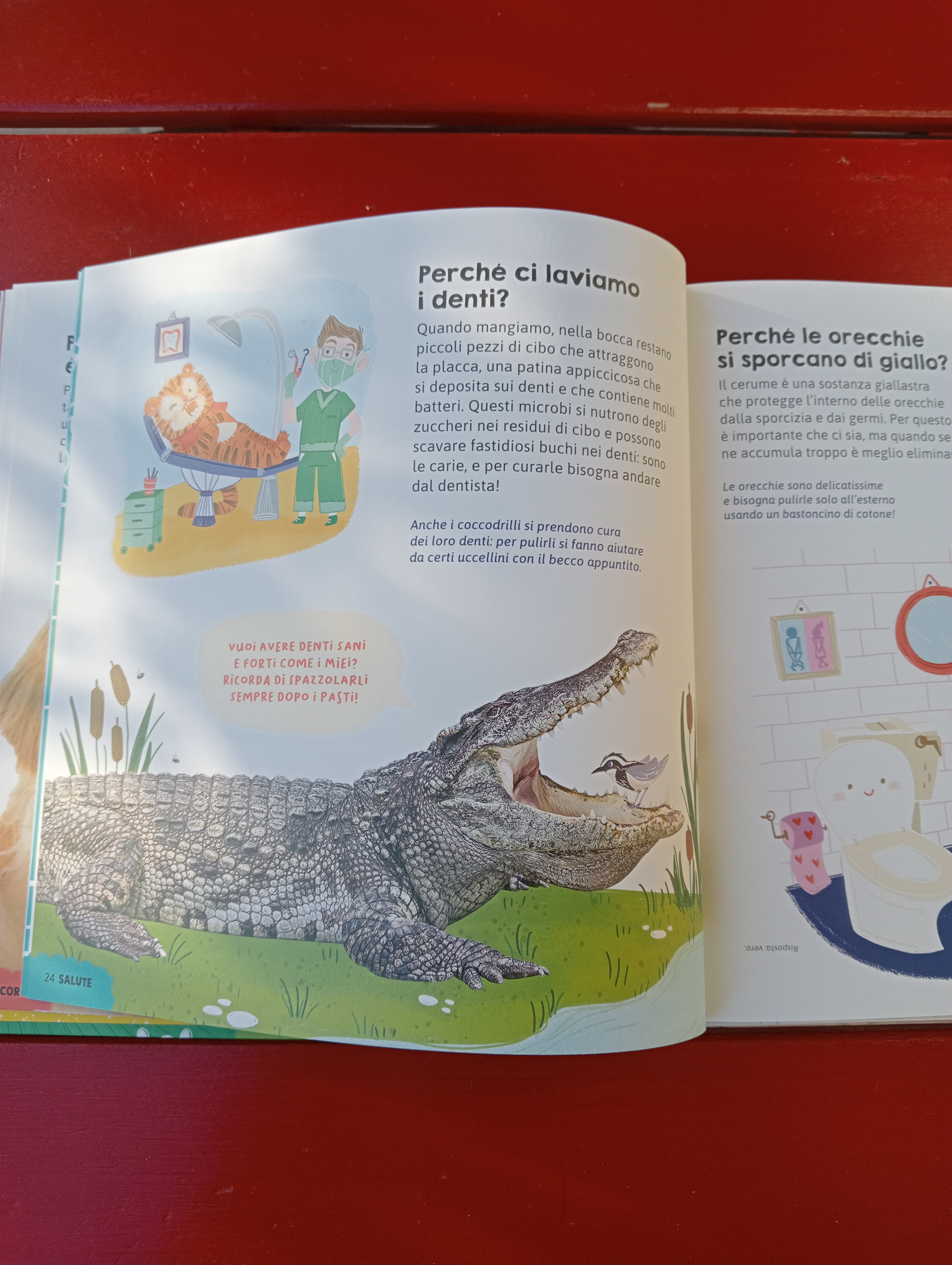 "Il mio libro dei Perché" Editoriale Scienza, illustrations by Jessica Martinello.