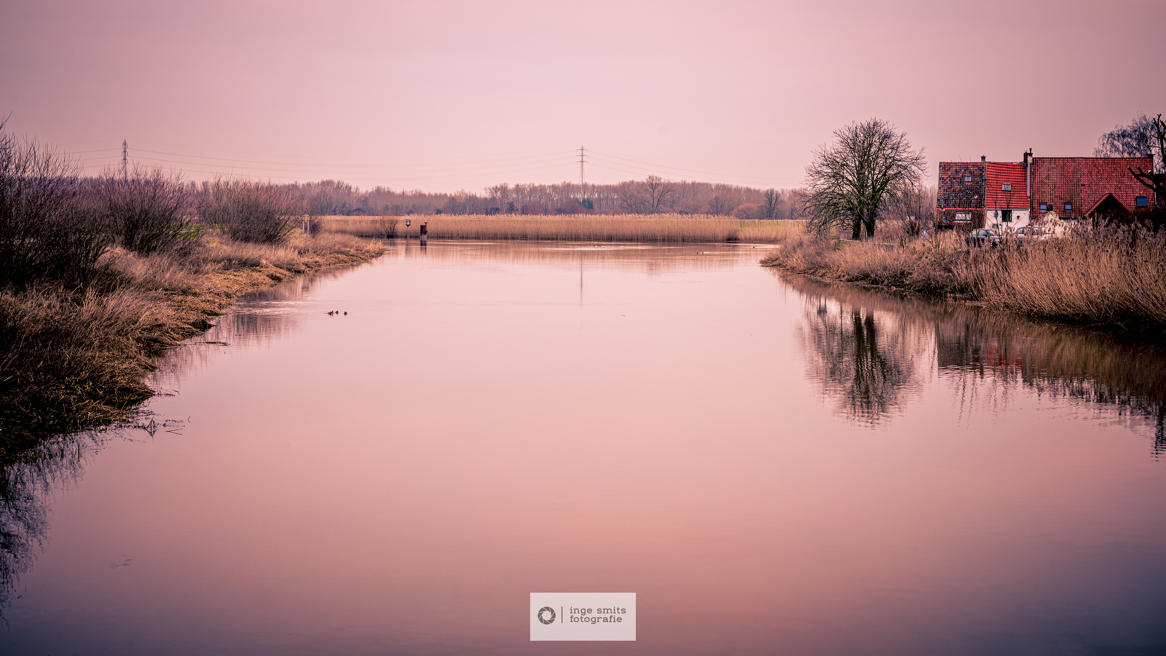 Hoogtij aan het Zennegat